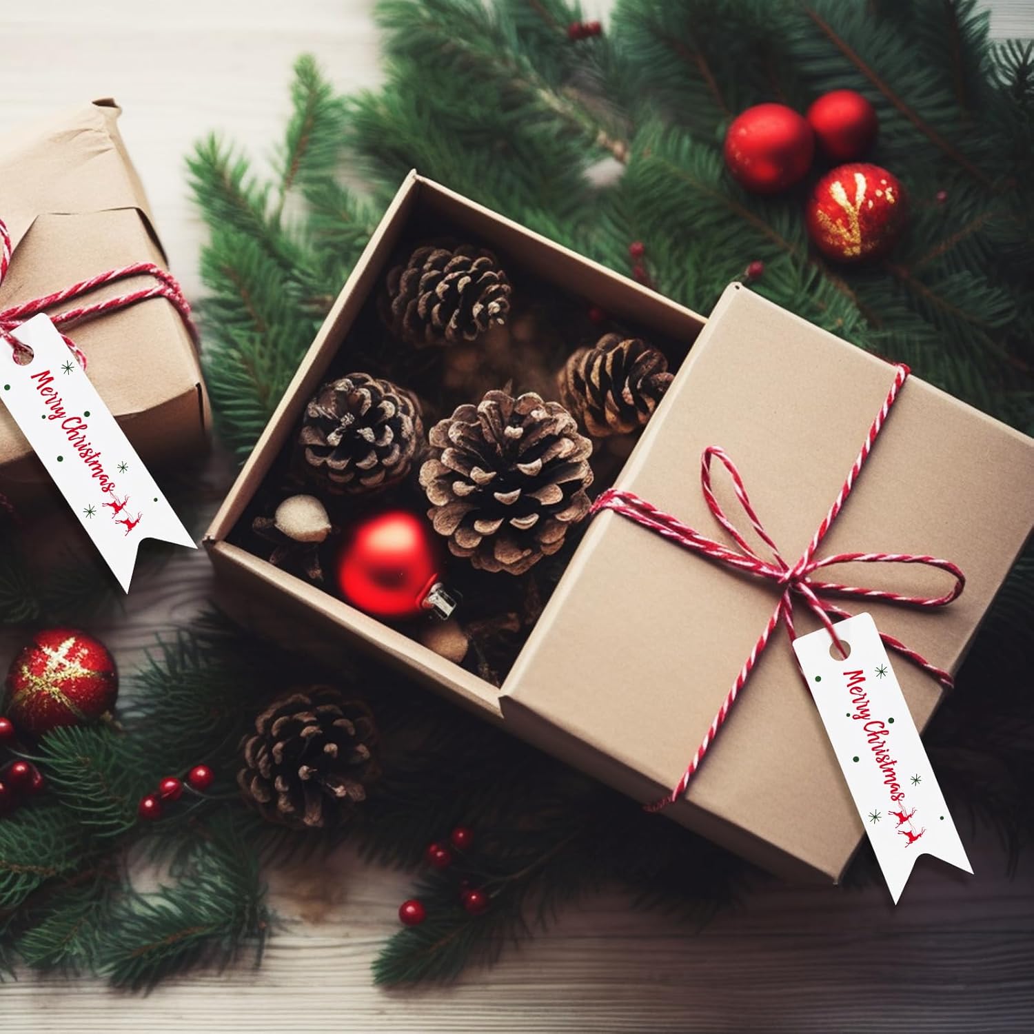 Pequeñas etiquetas de regalo de Navidad, 100 etiquetas de regalo de Navidad con cuerda, mini etiquetas de regalo de papel blanco para regalos de