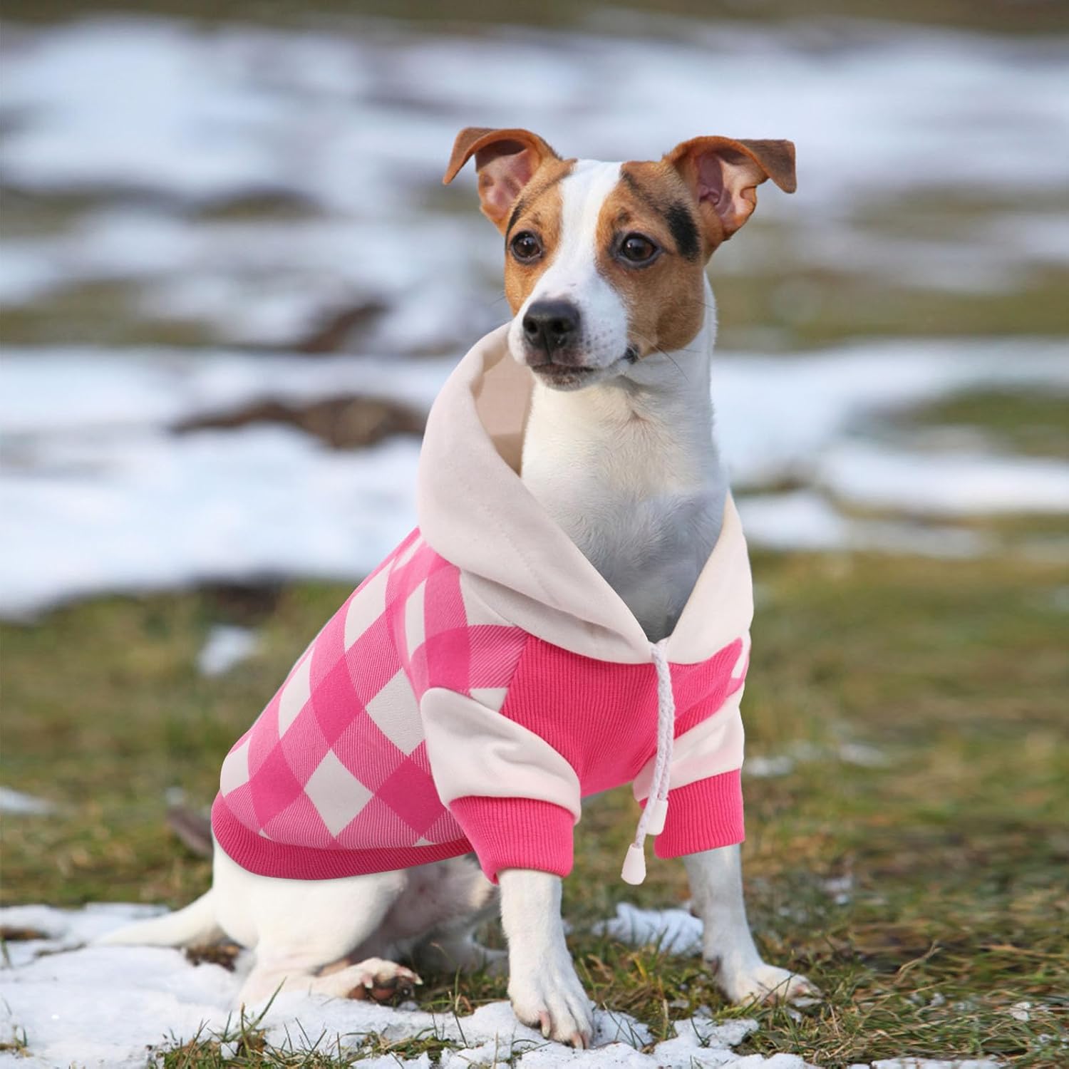 Sudadera con capucha a cuadros para perro, sudadera suave para perro, sudaderas con capucha de forro polar cálido para perros pequeños, suéteres con