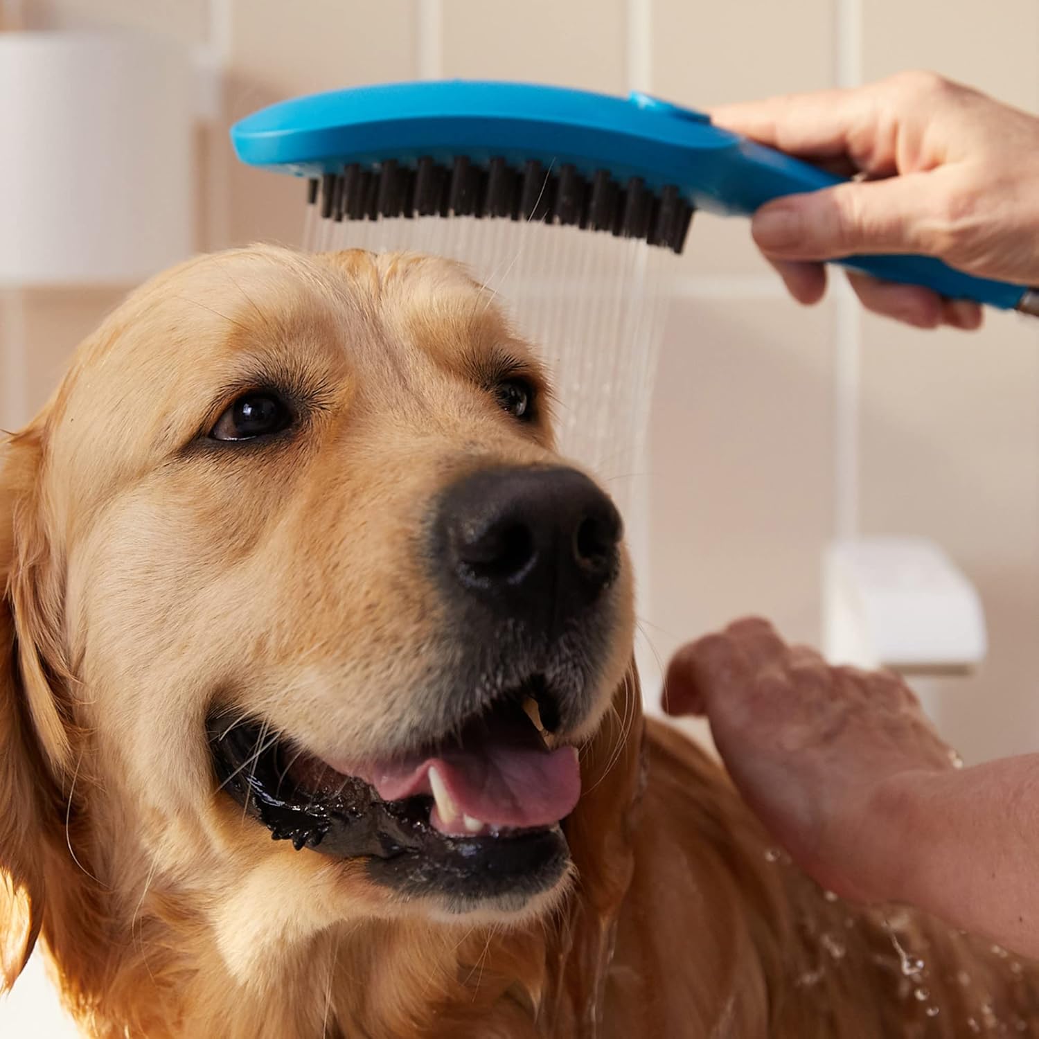 hansgrohe Ducha para mascotas al aire libre con spray de 3 rociadores de conexión rápida, spray para piernas, spray para patas en el cielo, 04973540