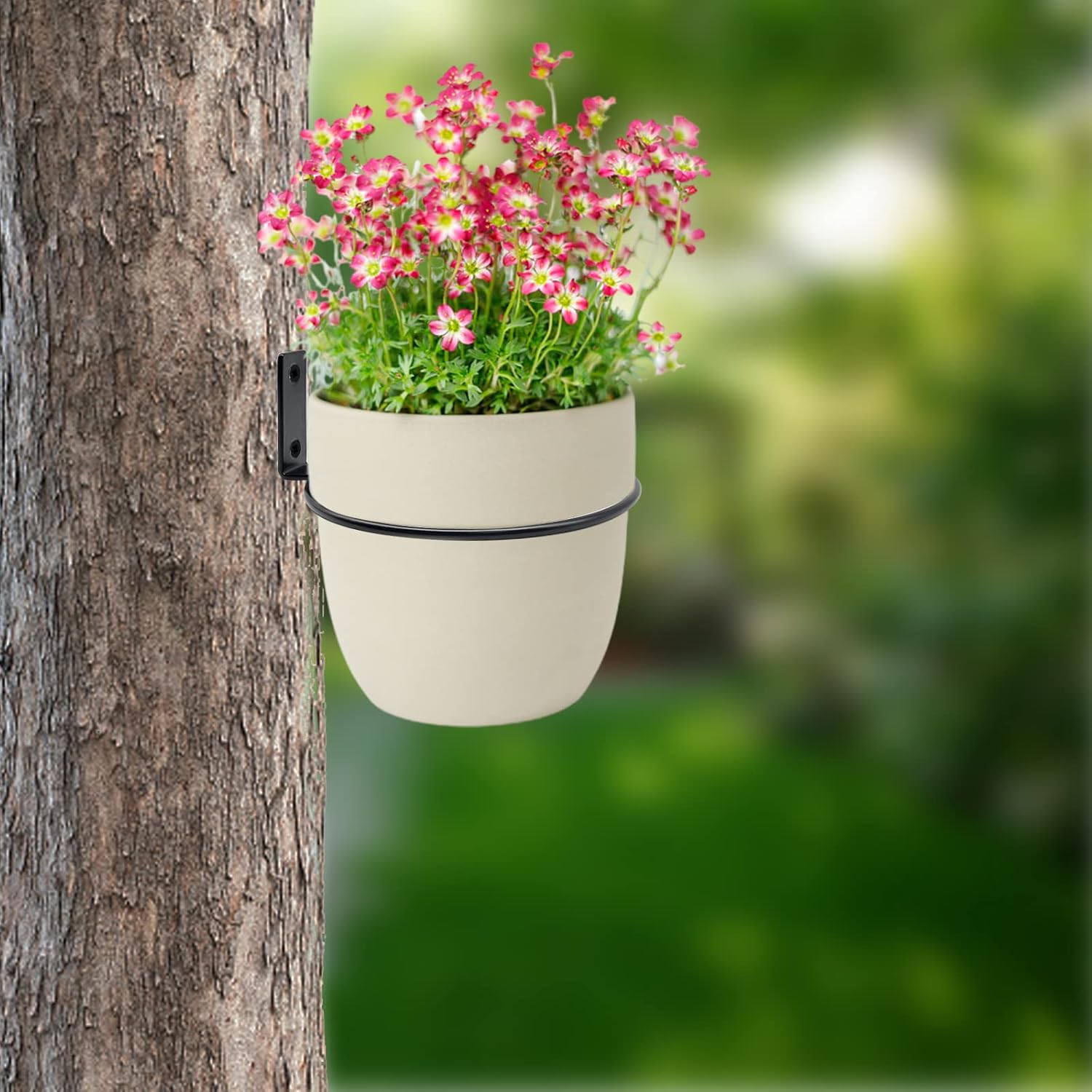 Paquete de 6 soportes para macetas de pared de 8 pulgadas, ganchos de metal para macetas de pared, soporte resistente para interiores y exteriores