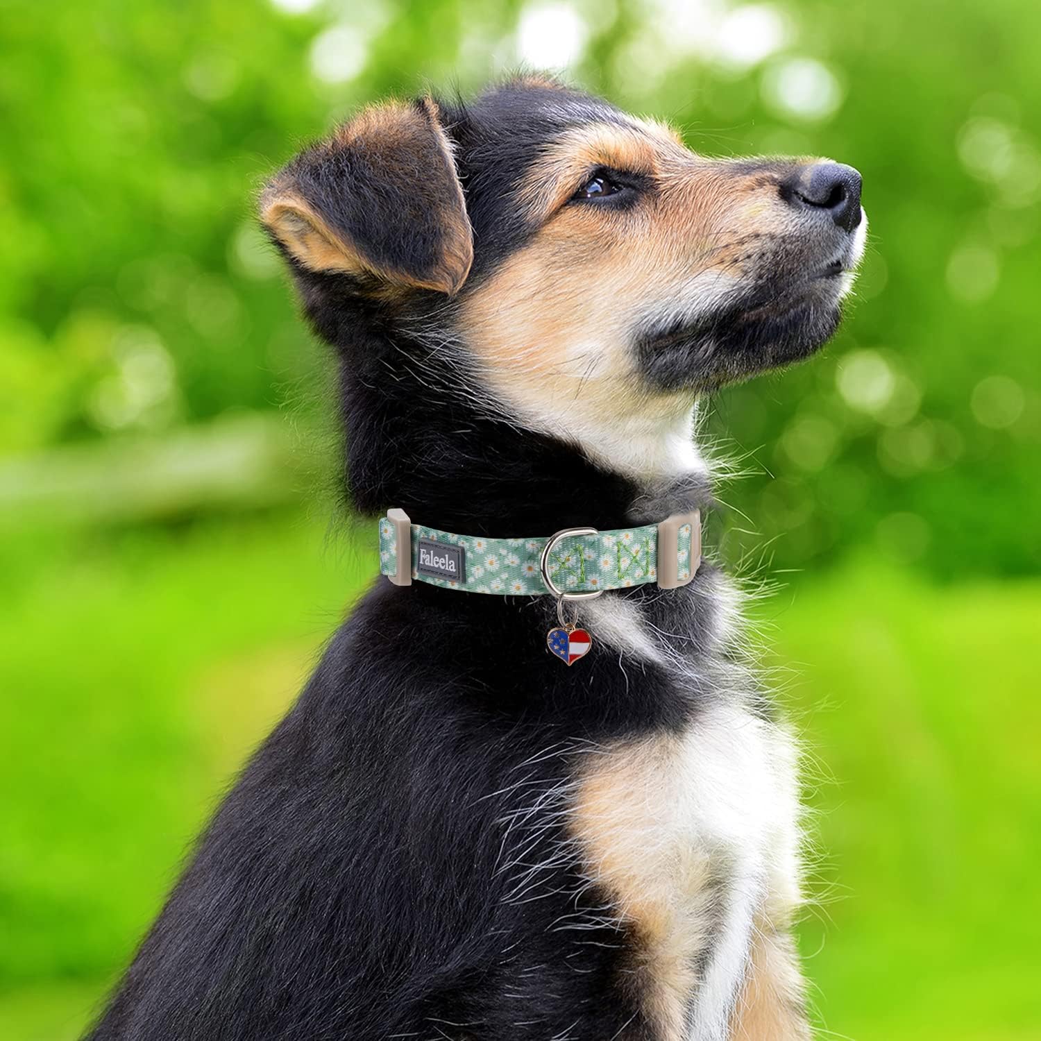 Collar ajustable para perro con patrones, hebilla de liberación rápida, diseño especial lindo collar para mascotas para perros pequeños, medianos y