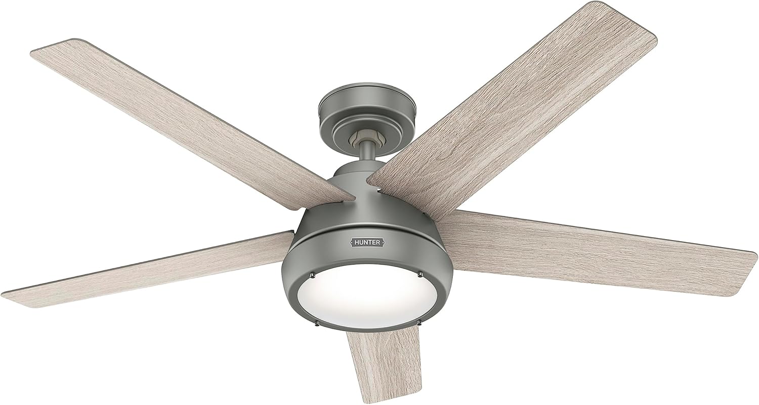 Hunter Fan Company 52423 Burroughs Ventilador de techo, 52 pulgadas, plateado mate