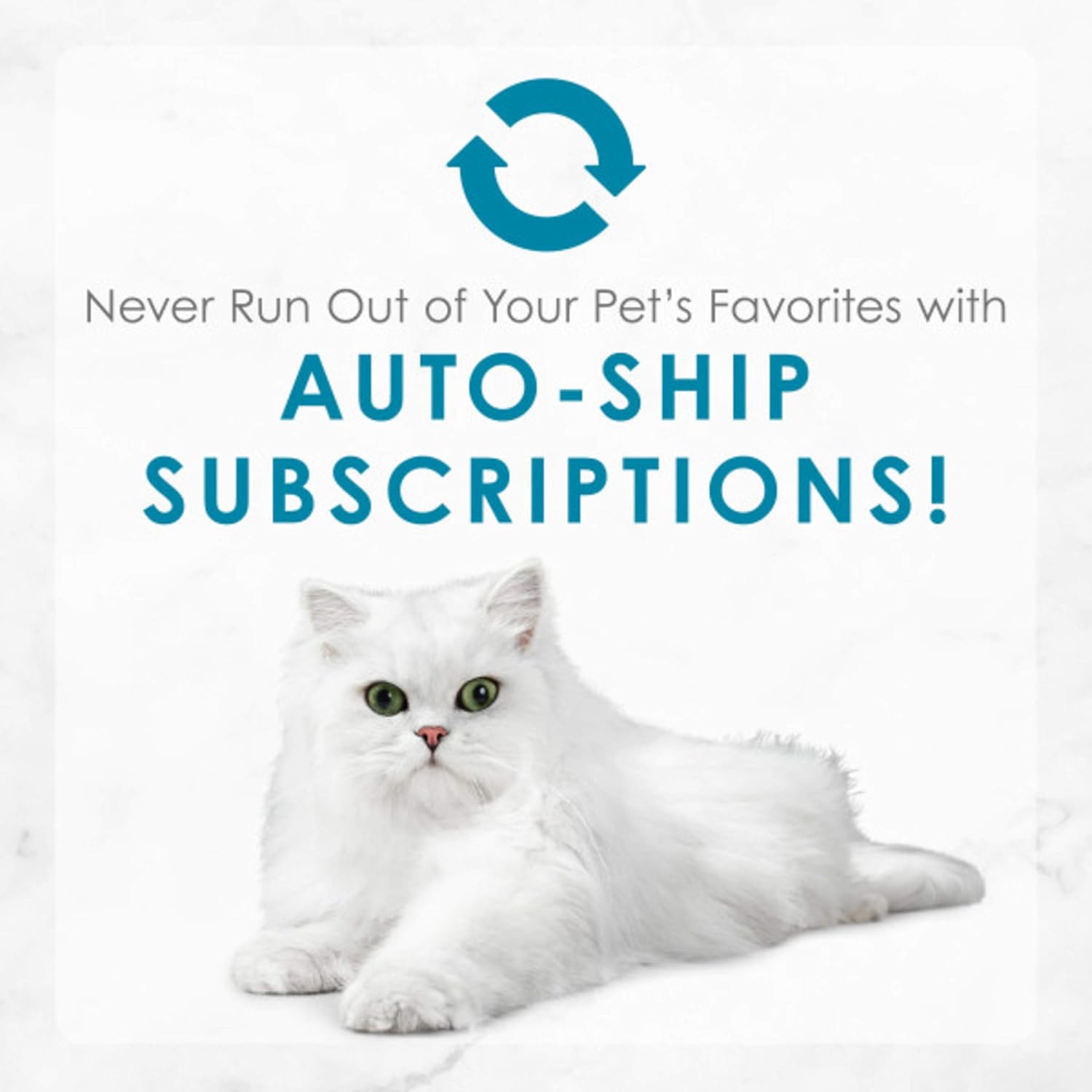 Purina Fancy Feast Medleys alimento húmedo para gatos enlatado para adultos  (24 latas) 3 onzas –