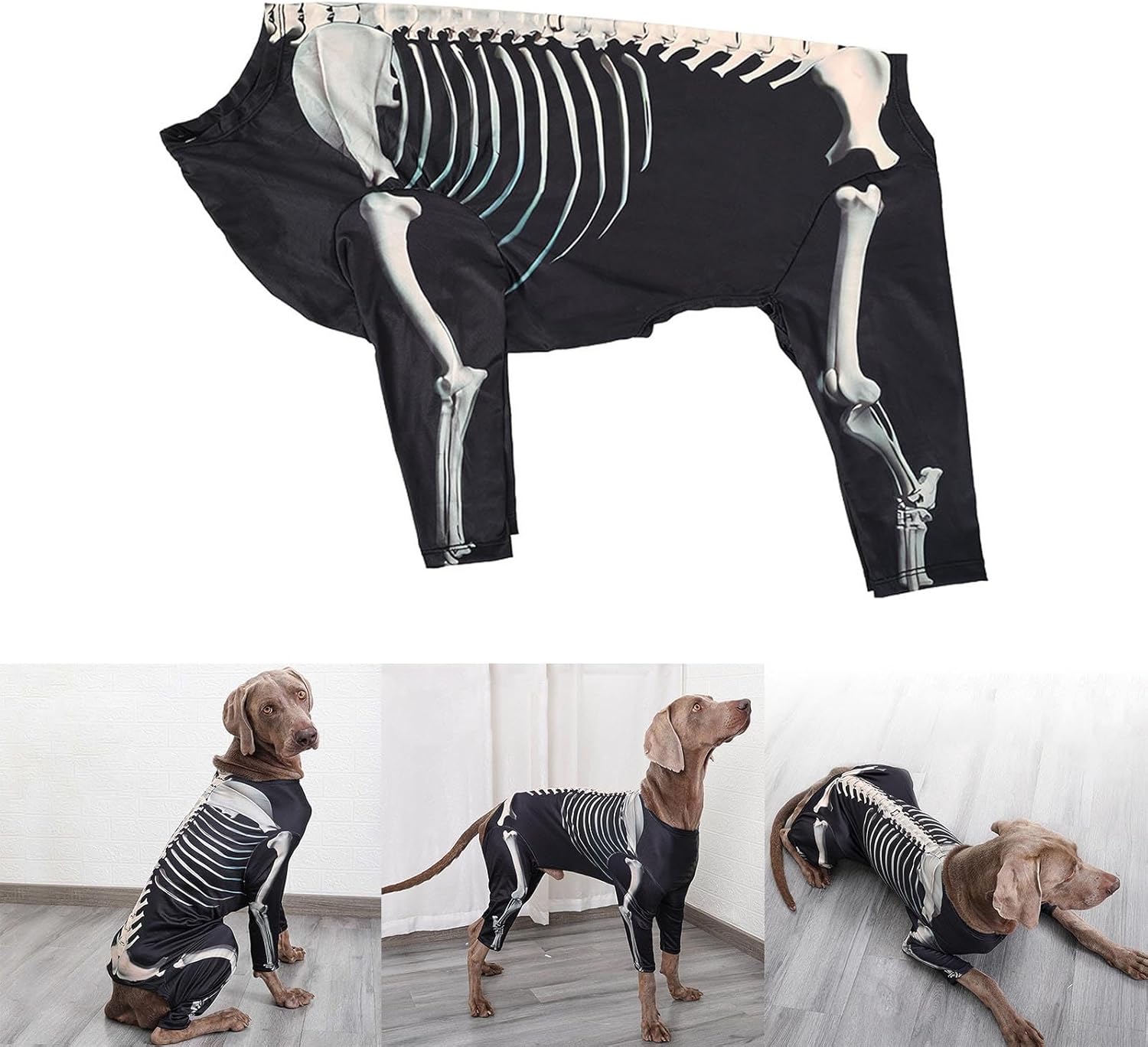 Disfraces de Halloween para perro, disfraz de Halloween para mascotas para perros y gatos, disfraz de esqueleto de Halloween para perro, ropa,