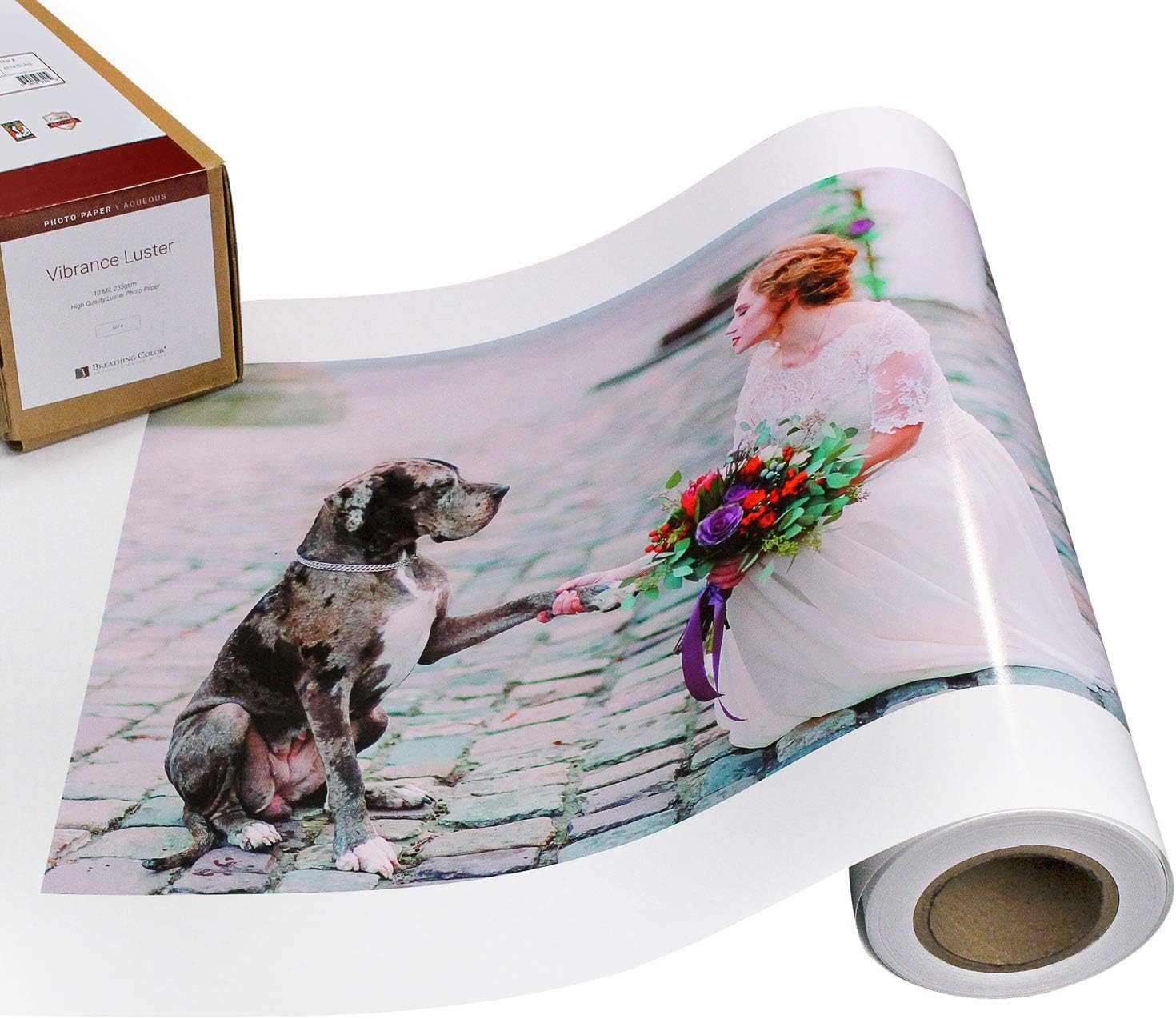 Vibrance Luster – Papel para impresora fotográfica, 8.99 ozm, acabado brillante, rollo de papel fotográfico prémium con núcleo de 3 pulgadas, 60