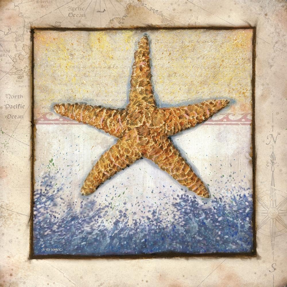 ArtDirect Starfish 15×15 Gallery Wrapped Canvas Museum Art by Wargo, Ed