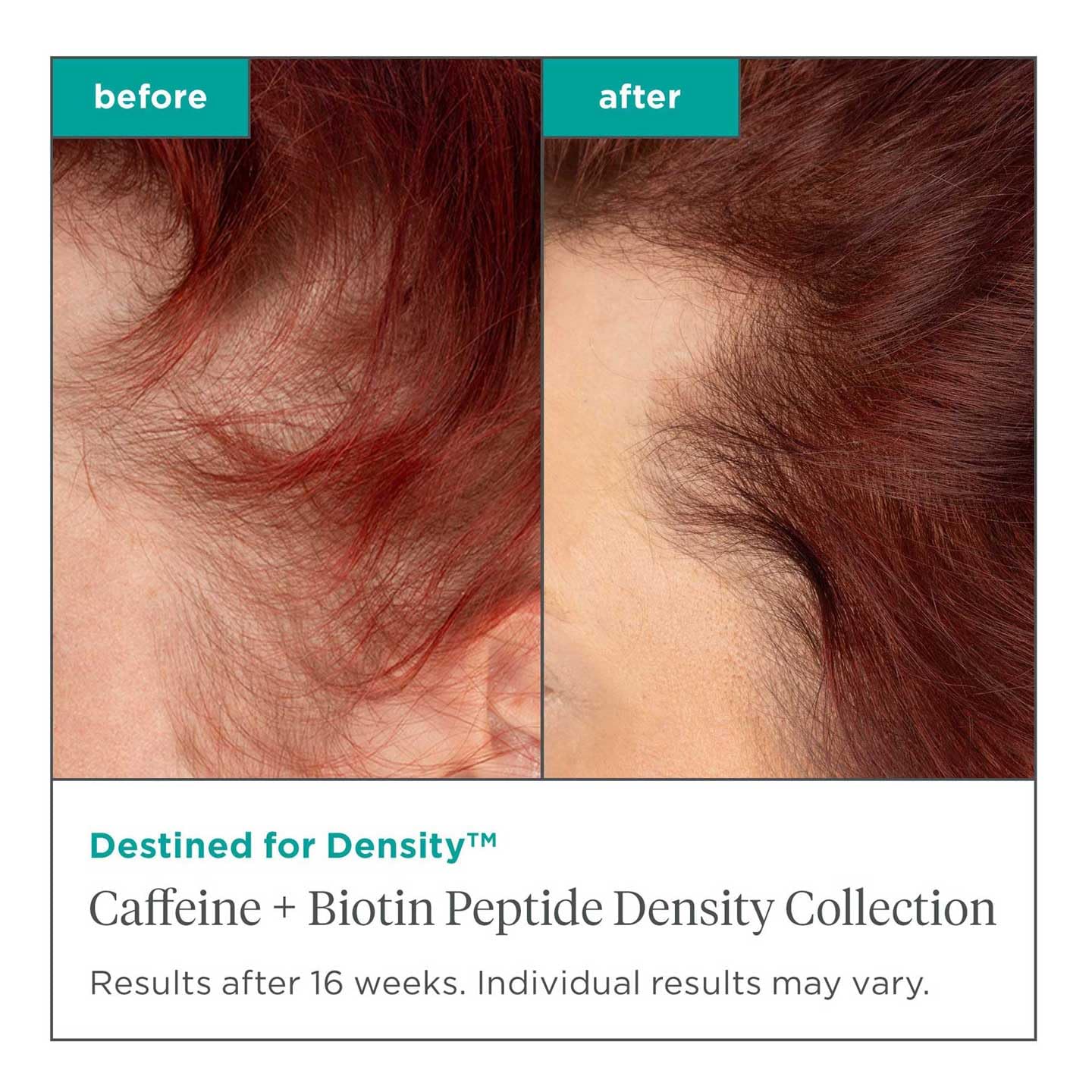 Briogeo Destinado a la densidad Cafeína + Biotina Peptide Champú y Acondicionador, Aumenta el grosor y la densidad del cabello, 8 onzas cada uno