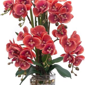 Orquídea artificial  Orquídeas artificiales de tacto real con jarrón de vidrio en agua sintética  Orquídea falsa realista  Arreglos florales fucsia Orquídea artificial  Orquídeas artificiales de tacto real con jarrón de vidrio en agua sintética  Orquídea falsa realista  Arreglos florales fucsia