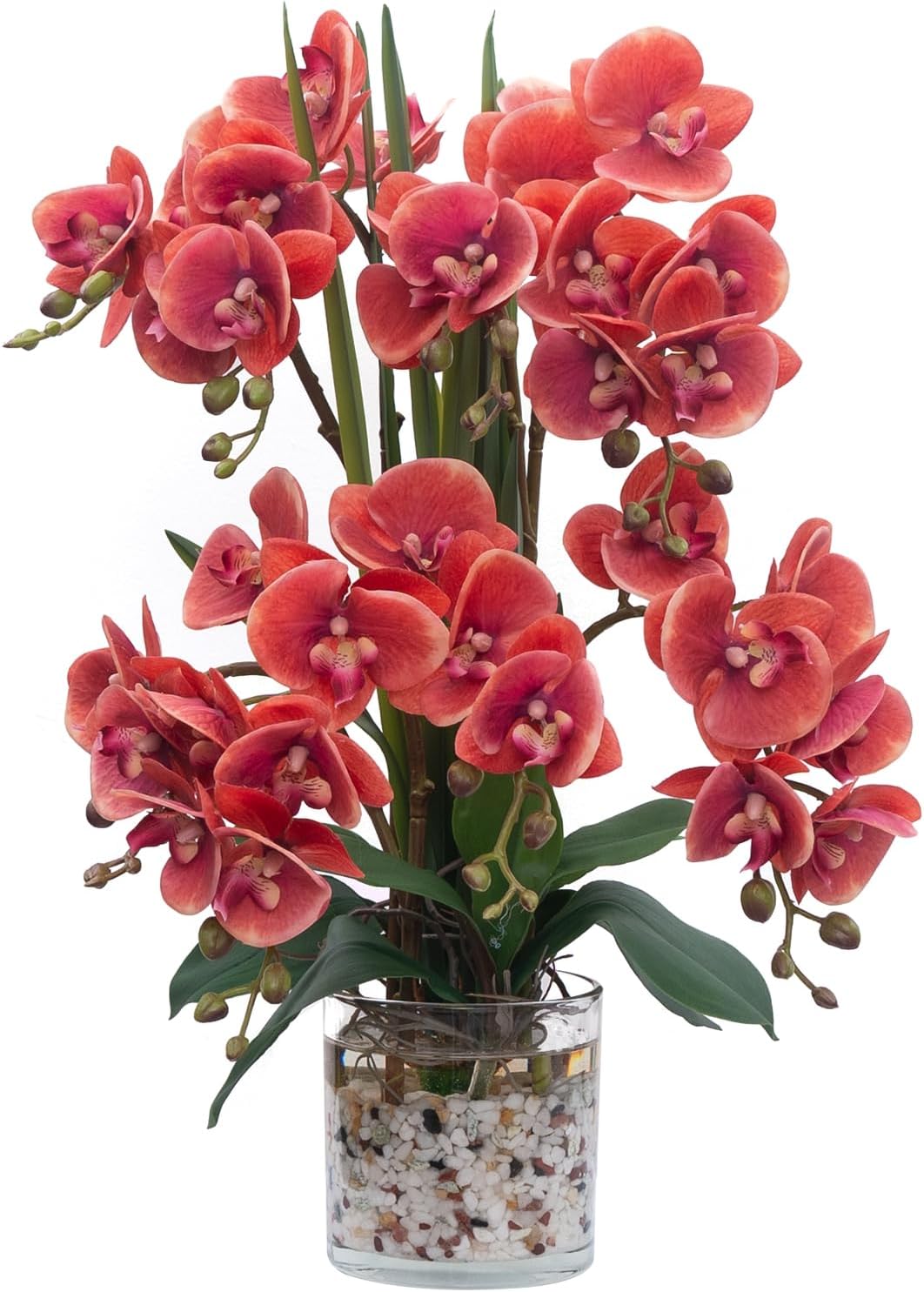 Orquídea artificial  Orquídeas artificiales de tacto real con jarrón de vidrio en agua sintética  Orquídea falsa realista  Arreglos florales fucsia