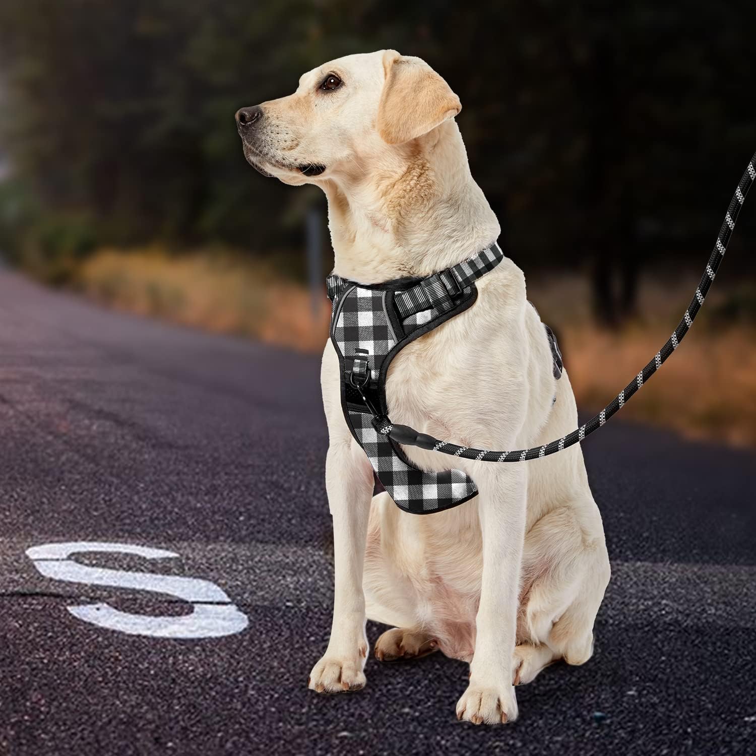 IVY&LANE Arnés sin tirones para perro con correa, chaleco reflectante sin estrangulamiento para mascotas, arnés ajustable Oxford de chaleco para