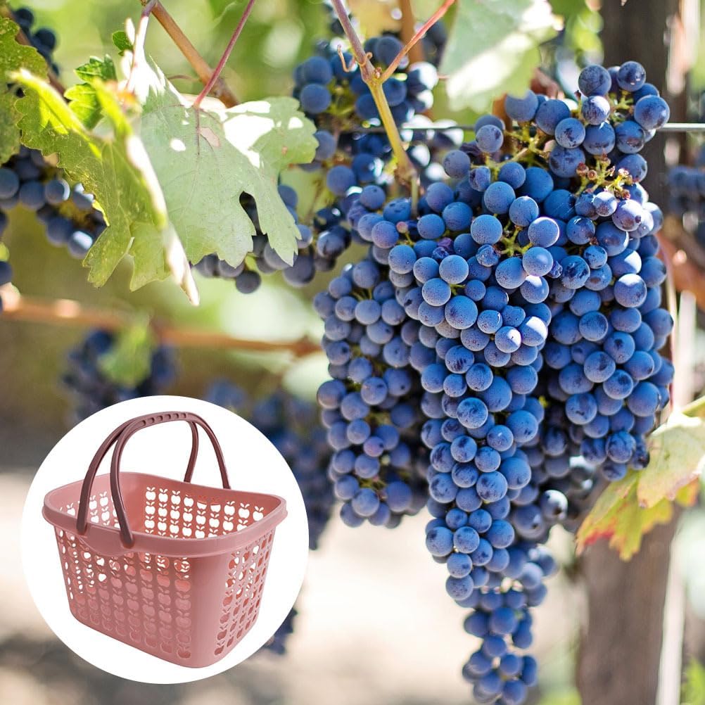 Hemoton Cesta de la compra con asas, cestas de compras de plástico al por menor, cestas de compras apilables, cesta de almacenamiento de frutas para