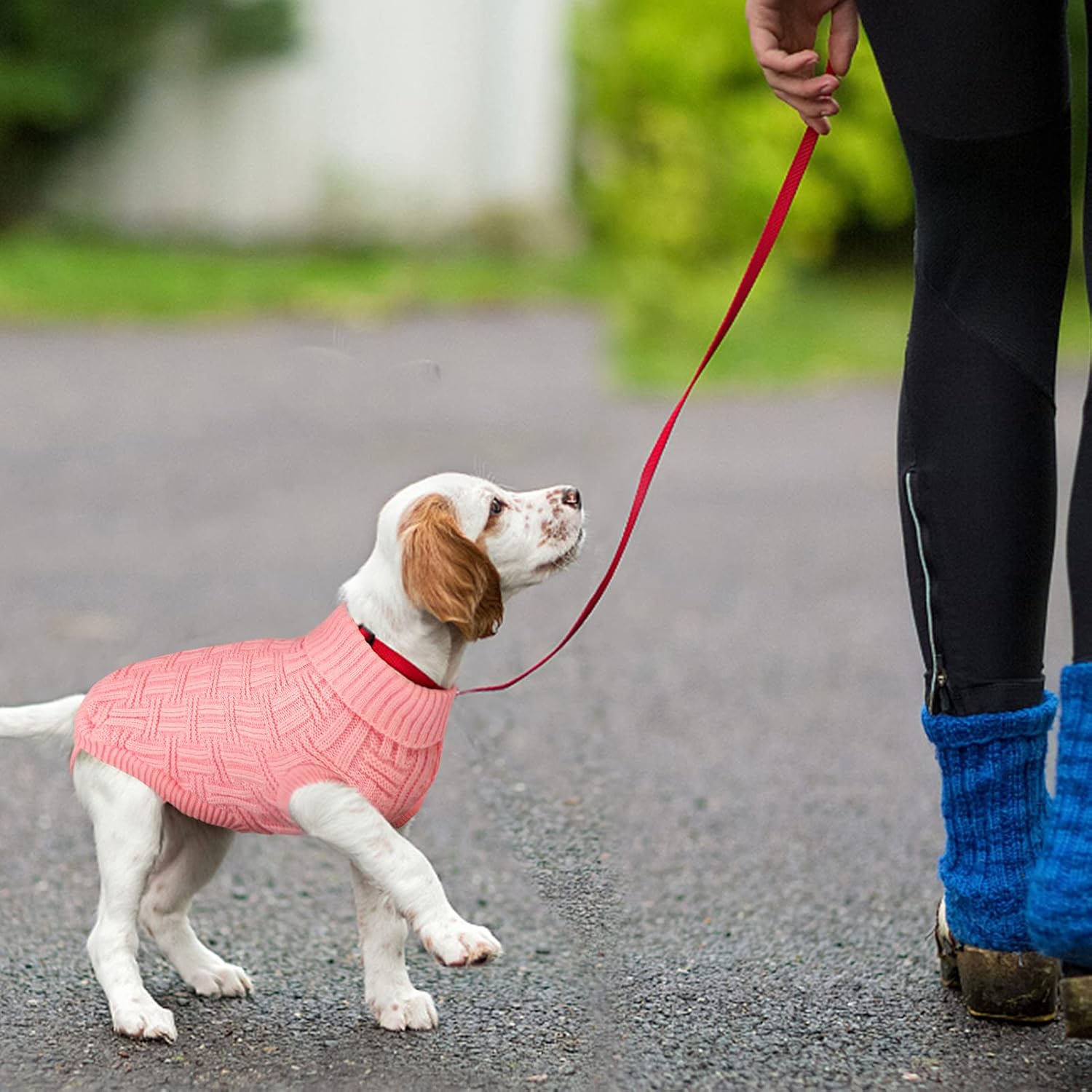 ASENKU Suéter pequeño para perro, ropa de punto para clima frío, ropa clásica de cuello alto grueso y cálida para chihuahuas, bulldogs, perros
