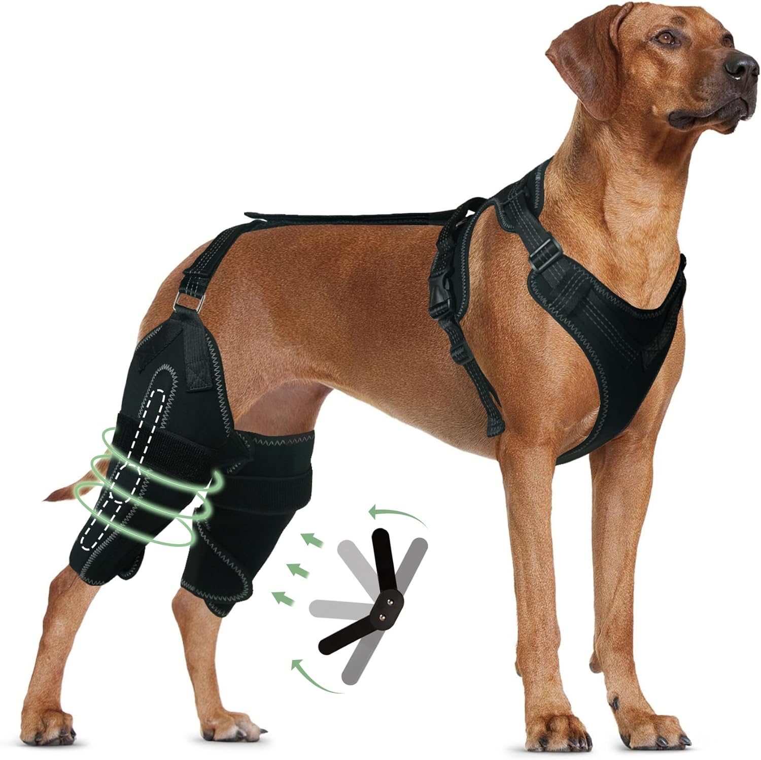 LISPOO – Rodillera para perro para pierna trasera desgarrada, rótula luxante, ligamento cruzado, rodillera para perro Acl soporte de pierna trasera