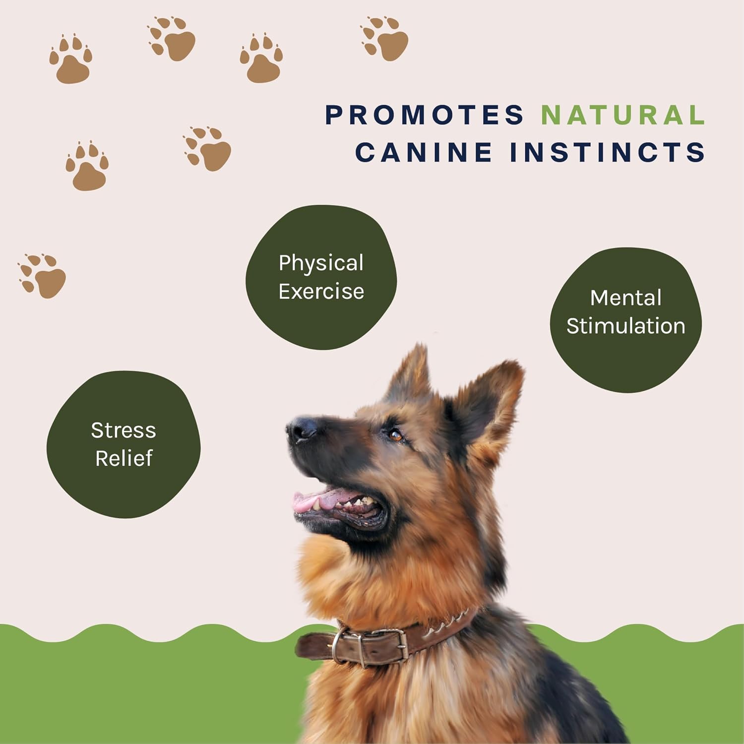 Good Trouble Pets Premium Wild Elk Astas masticables para perros (paquete de 2)  Huesos duraderos para perros masticadores agresivos, masticables de