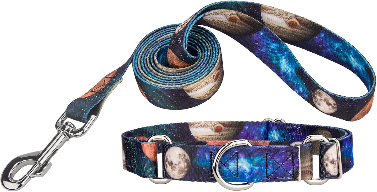 Country Brook Petz – Collar y correa de perro Martingala Galactic Neighbors – Colección Geek Chic con 4 diseños para cualquier mega fan (1 pulgada,