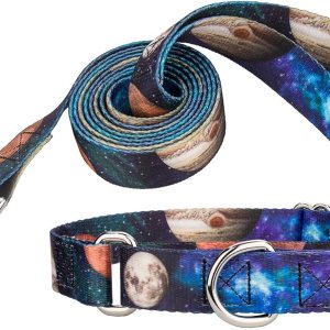 Country Brook Petz – Collar y correa de perro Martingala Galactic Neighbors – Colección Geek Chic con 4 diseños para cualquier mega fan (1 pulgada, Country Brook Petz – Collar y correa de perro Martingala Galactic Neighbors – Colección Geek Chic con 4 diseños para cualquier mega fan (1 pulgada,