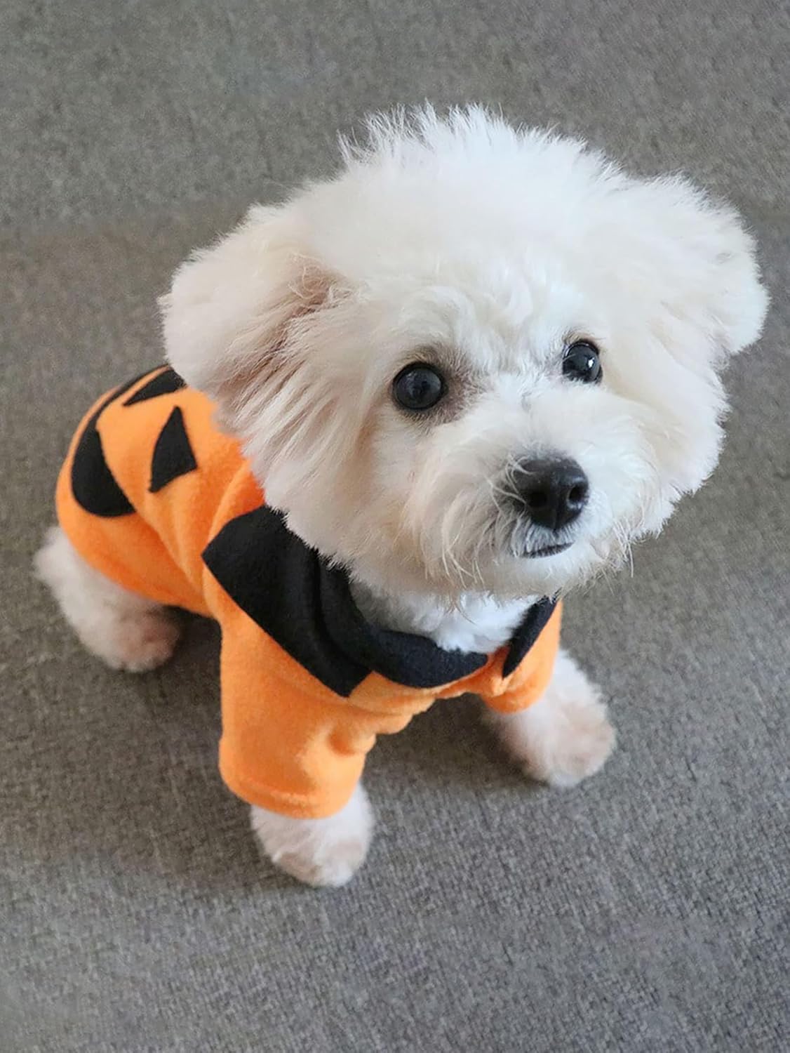 QWINEE Abrigo para perro con estampado de calabaza, sudadera con capucha cálida y suave para invierno, ropa para cachorros para gatos, perros