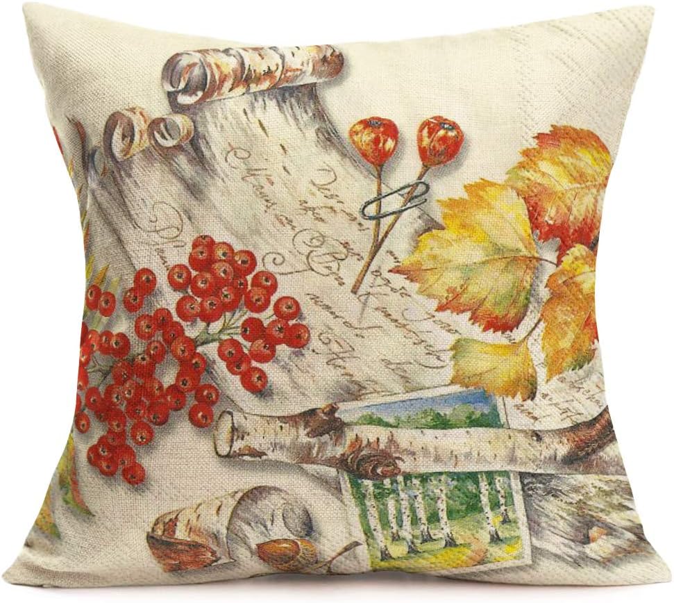 Juego de 2 fundas de almohada decorativas de estilo rústico con diseño de pájaro de animales y muérdago, para otoño, exteriores, mariposas,