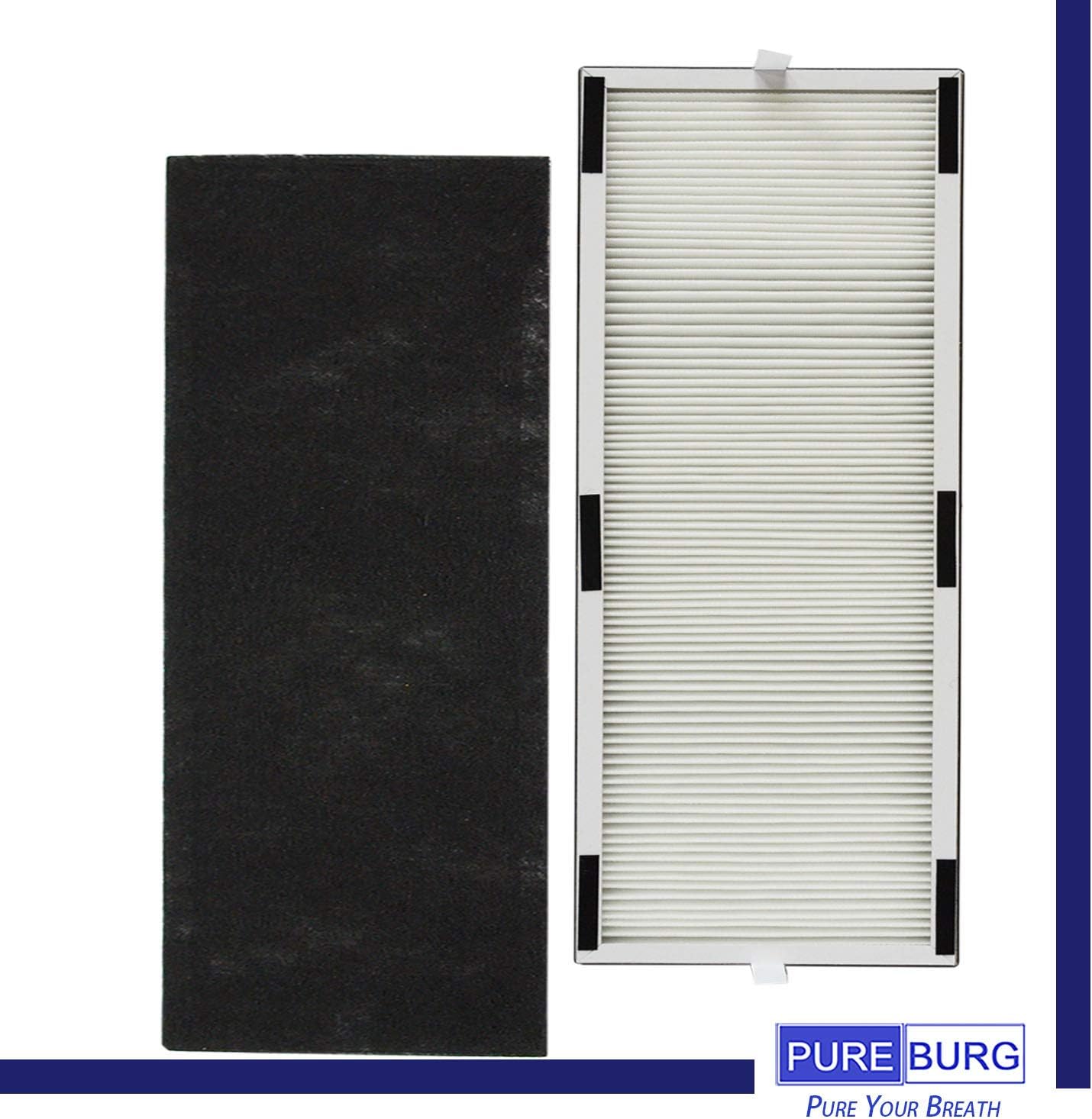 PUREBURG Juego de filtros HEPA de repuesto 2+4 compatible con LivePure LP-HF250 LP-PF600 se adapta a LivePure LP250THLP260TH Sierra SerieslDigital