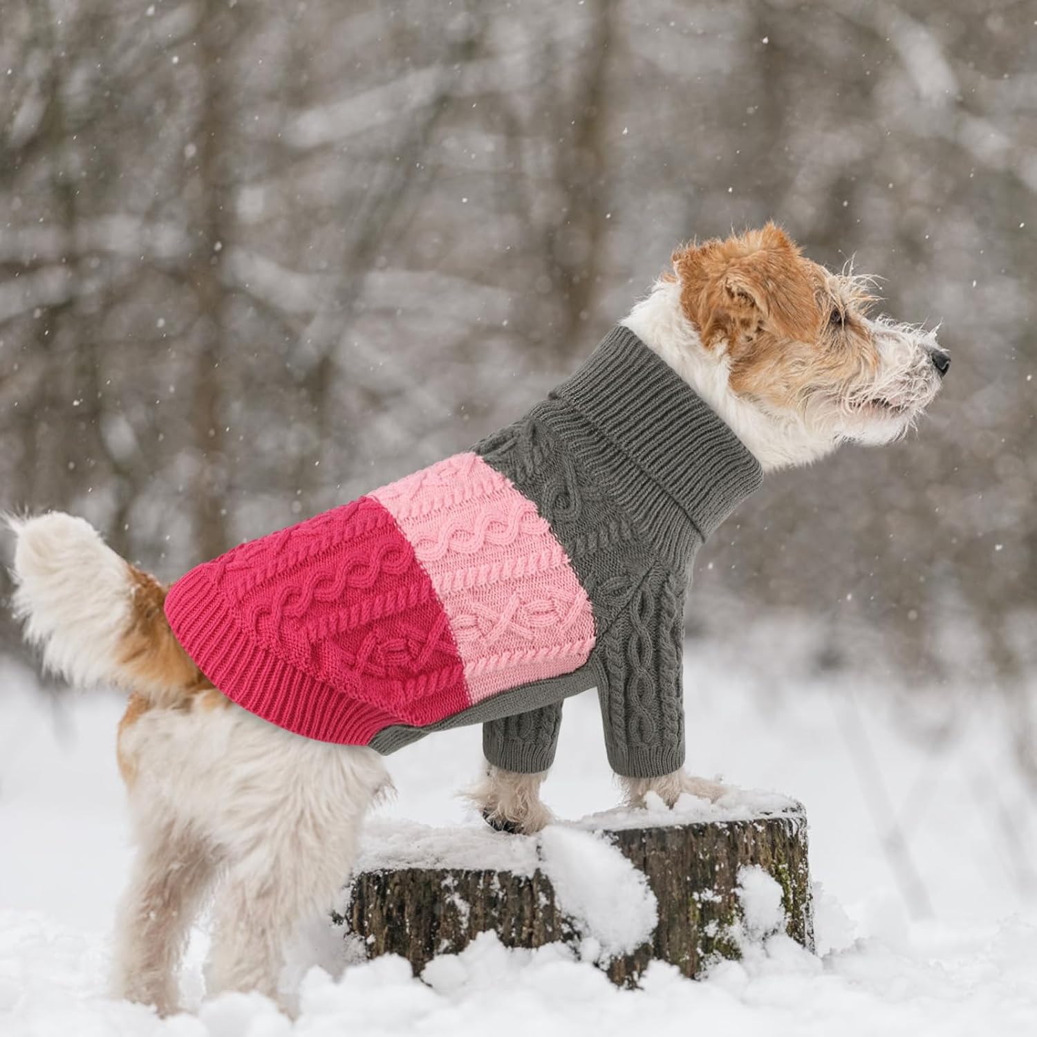 ASENKU Suéter de perro para perros pequeños y medianos, sudadera de punto de cuello alto para perro, ropa gruesa para cachorros para chihuahua,