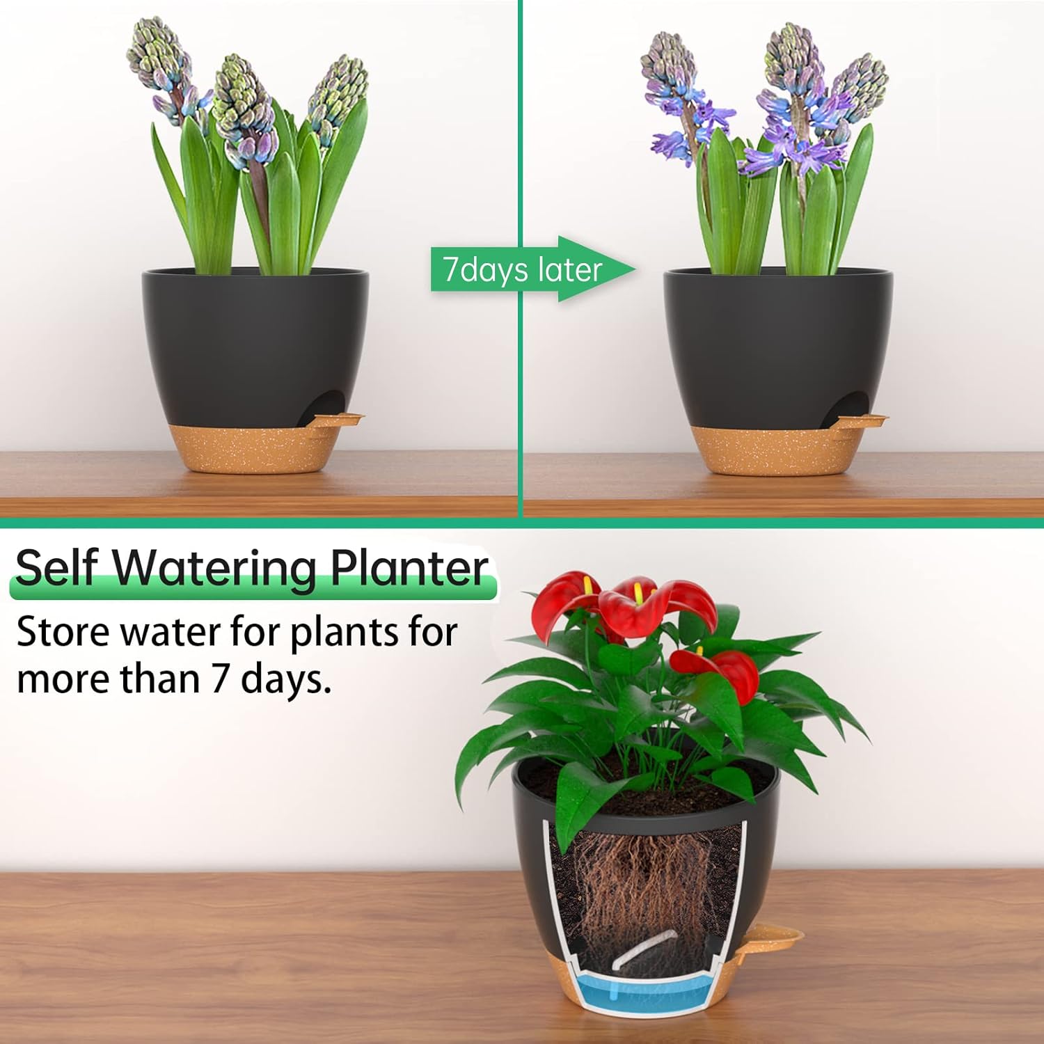 ZMTECH Juego de 2 macetas de 10 pulgadas para plantas de interior, macetas de riego automático con agujeros de drenaje y platillo para plantas de