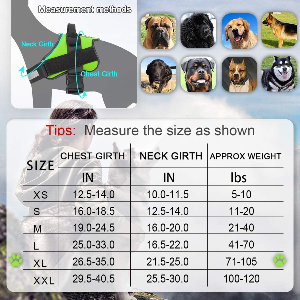 Bolux – Arnés para perro, reflejante y transpirable, ajustable, con asa, para sacarlo a pasear, no más tirones ni asfixia (verde, tamaño XG)