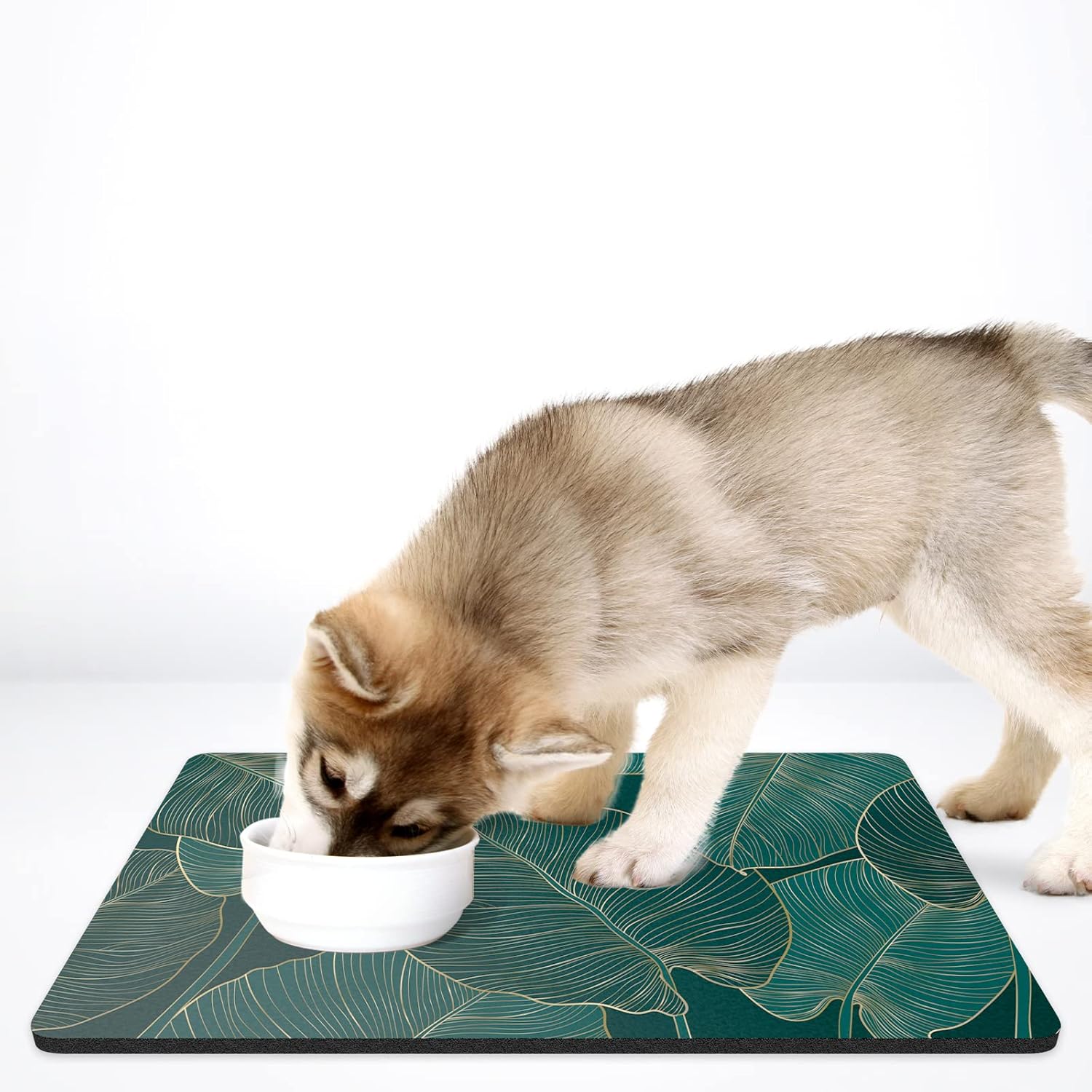 Tapete de comida para perros, de 16 x 24 pulgadas, tapete absorbente para perros y gatos, tapete absorbente para proteger los suelos, bonito tapete