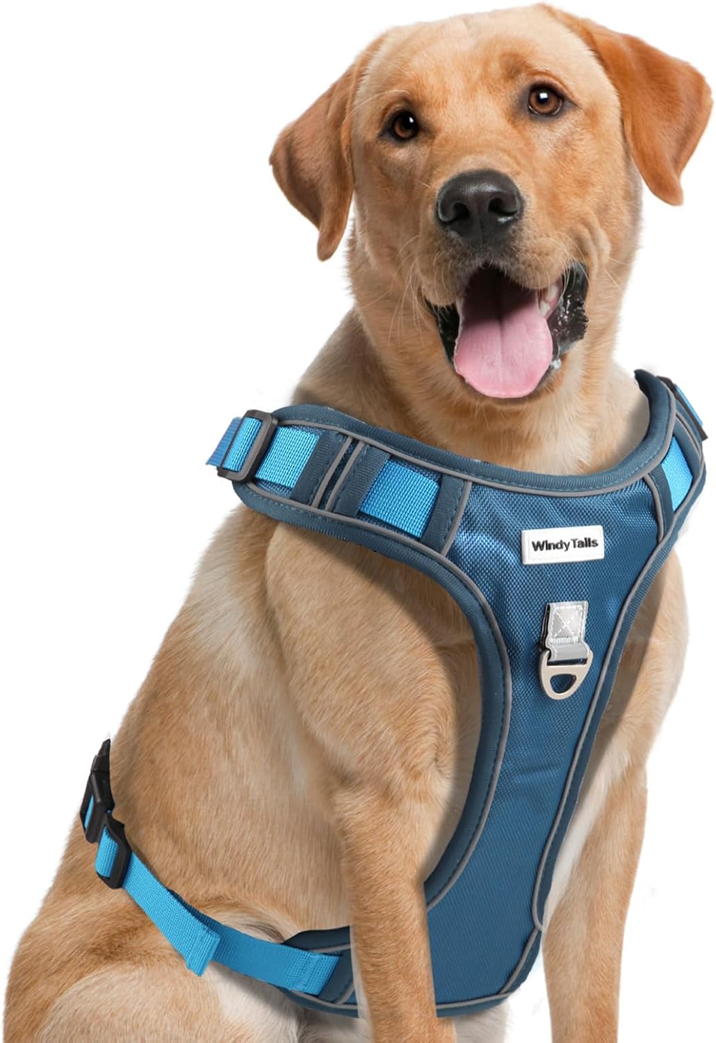 Arnés para perro grande, mediano, pequeño y extra grande, antitirones, para perro grande, mediano y mediano con clip frontal, arnés ajustable