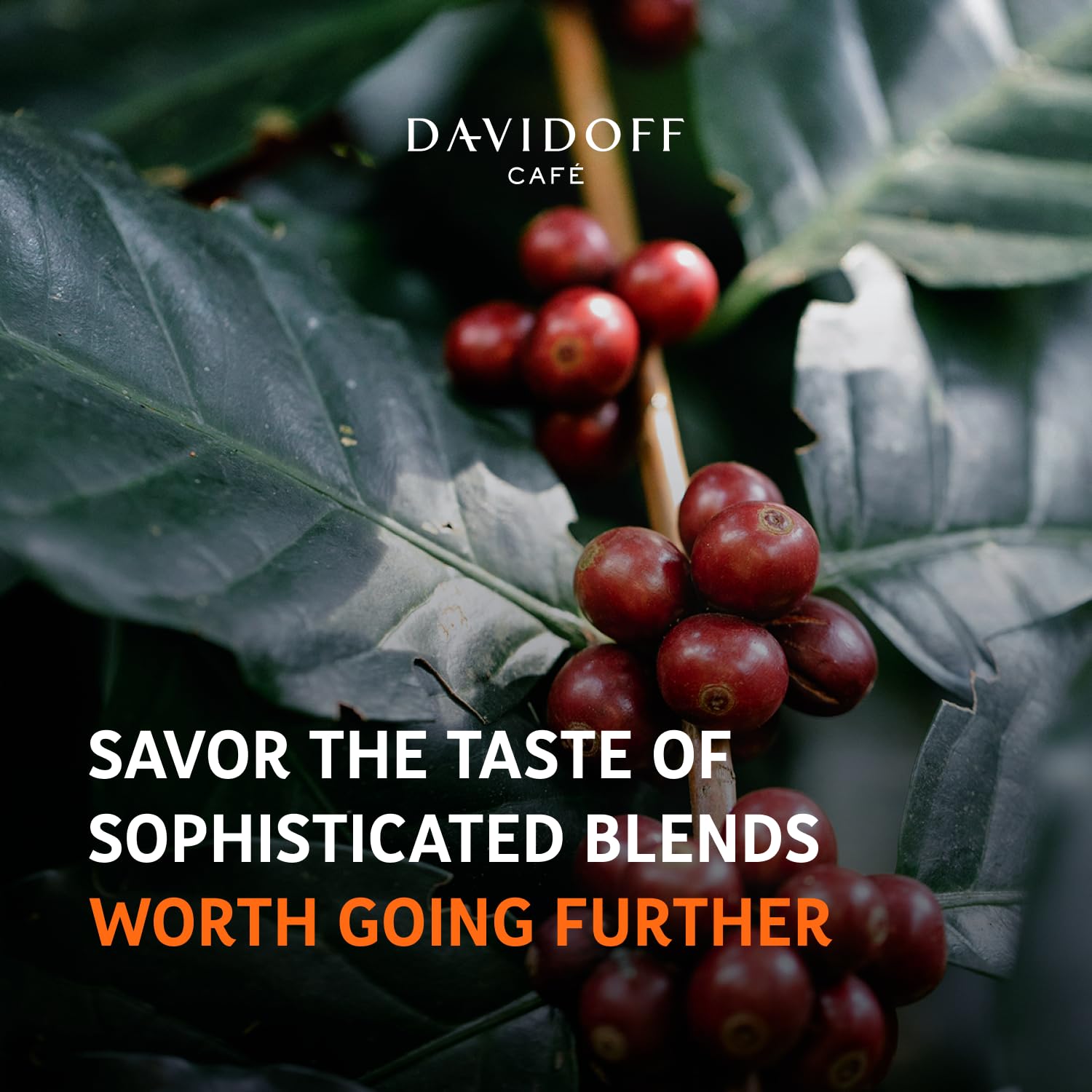 DAVIDOFF Cápsulas de café de aroma fino. Compatible con máquina Nespresso, elegante y fragante, granos 100% arábica, intensidad 712. Tostado 612.