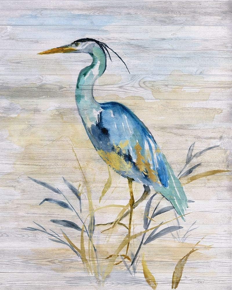 Posterazzi PDX41563SMALL Blue Heron II – Impresión fotográfica, 18 x 24, multicolor