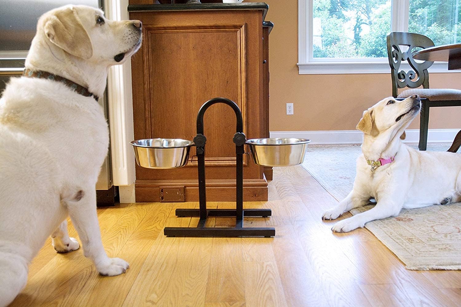 King International Cuencos elevados ajustables para perros y gatos, cuencos elevados para perros y gatos, cuencos elevados para perros con 2 cuencos