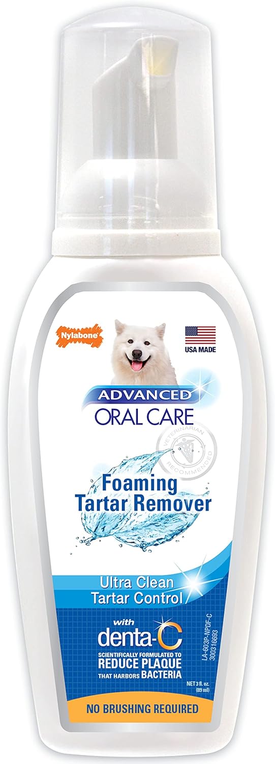 Nylabone Advanced Oral Care – Removedor de sarro para perros en espuma, ambientador de aliento y espuma de limpieza de dientes (4 onzas)
