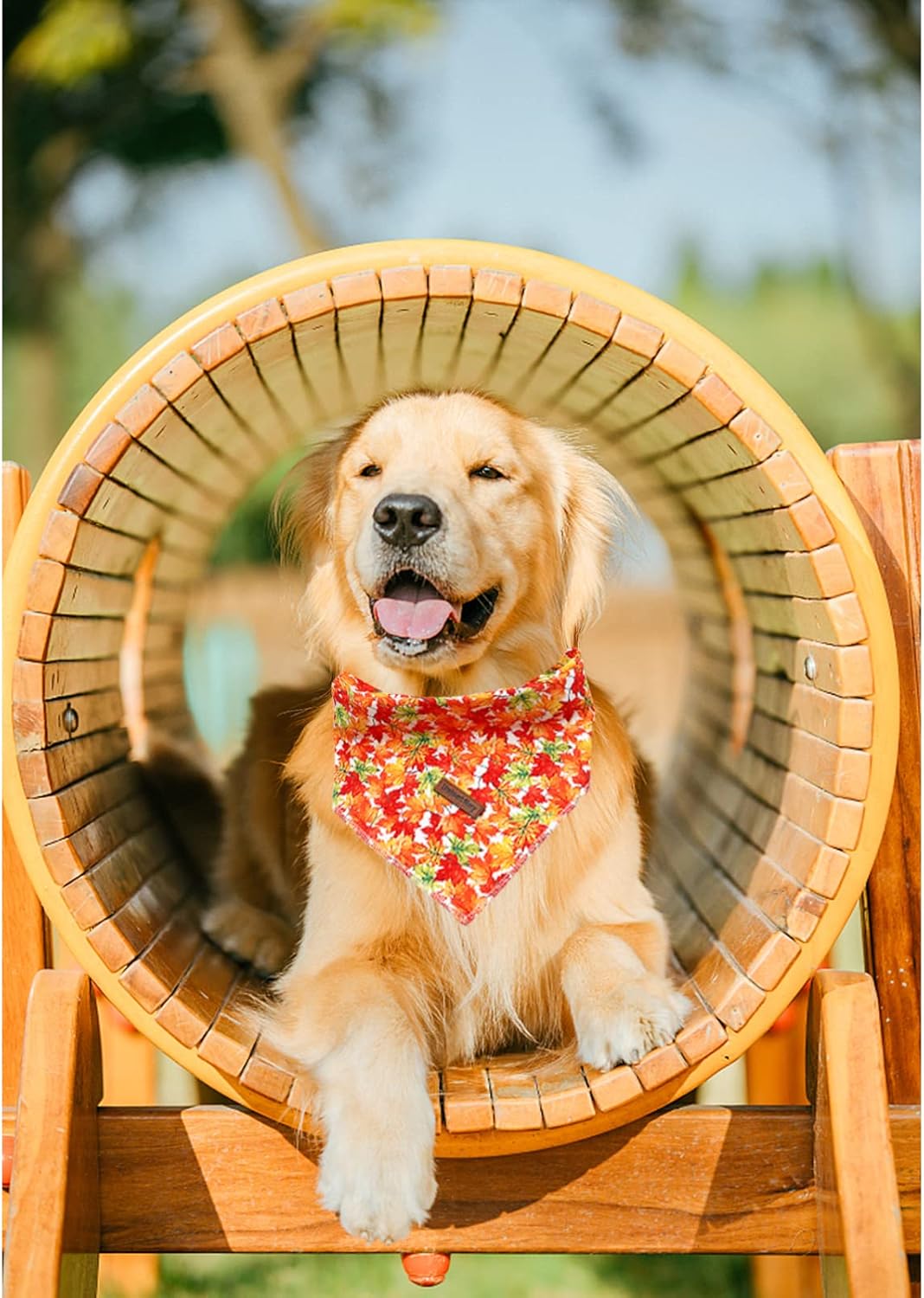 Lionheart glory Bandana de otoño para perro, 1 paquete de bufanda lavable suave para perro, pañuelo cuadrado ajustable para perros medianos y grandes