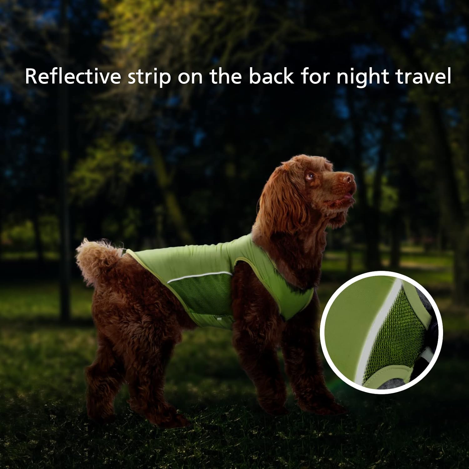 Camiseta para perro con protección solar UPF 50+, camisetas para fanáticos de los deportes para perros pequeños, niños y niñas, camisetas