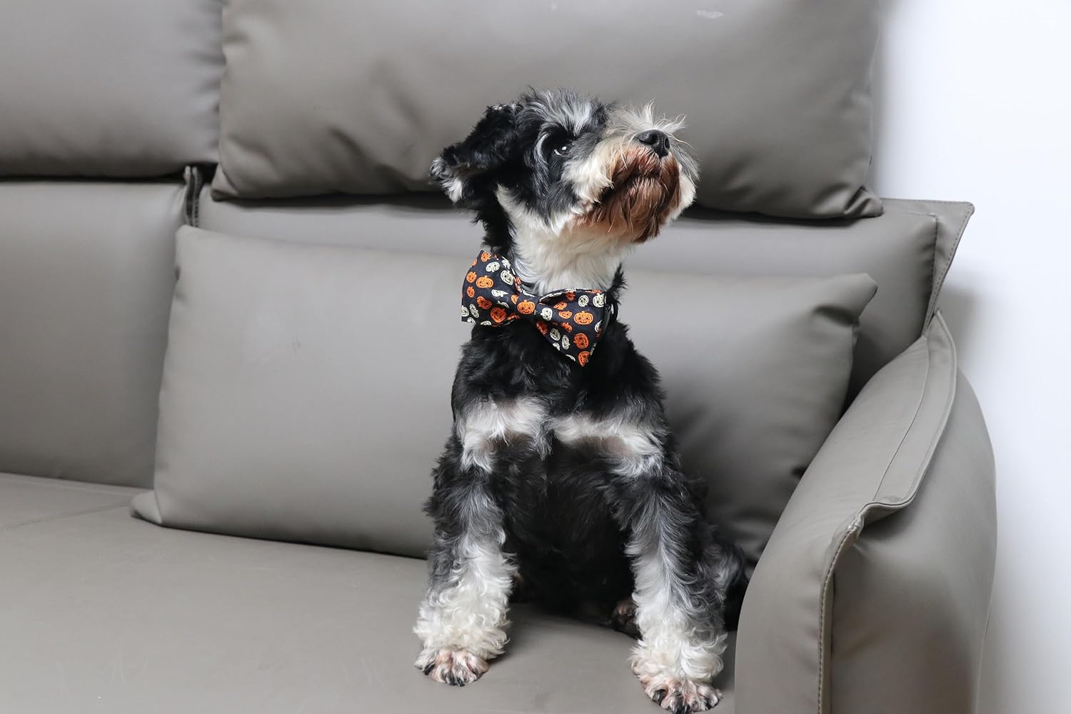 Lionet Paws Collar de moño para perro de Halloween, lindo collar de algodón ajustable para perro con corbatín para perro pequeño, mediano y grande,