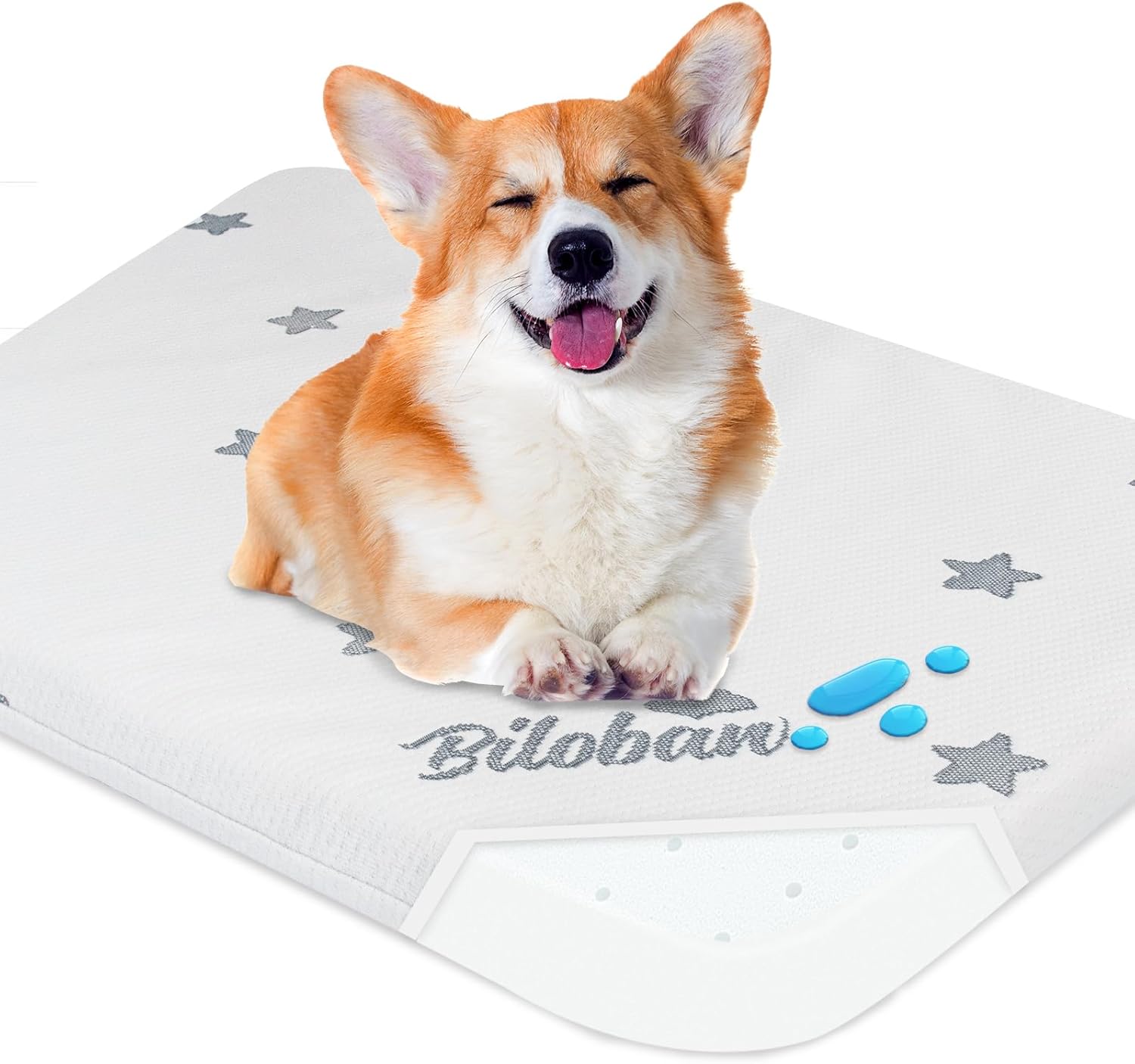Biloban Camas para perros pequeños, cama impermeable para perros pequeños con funda extraíble lavable, almohadilla de cama de espuma para perros