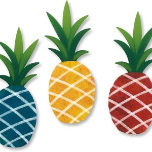 14072y – Juego de 3 imanes surtidos de piña 14072y – Juego de 3 imanes surtidos de piña