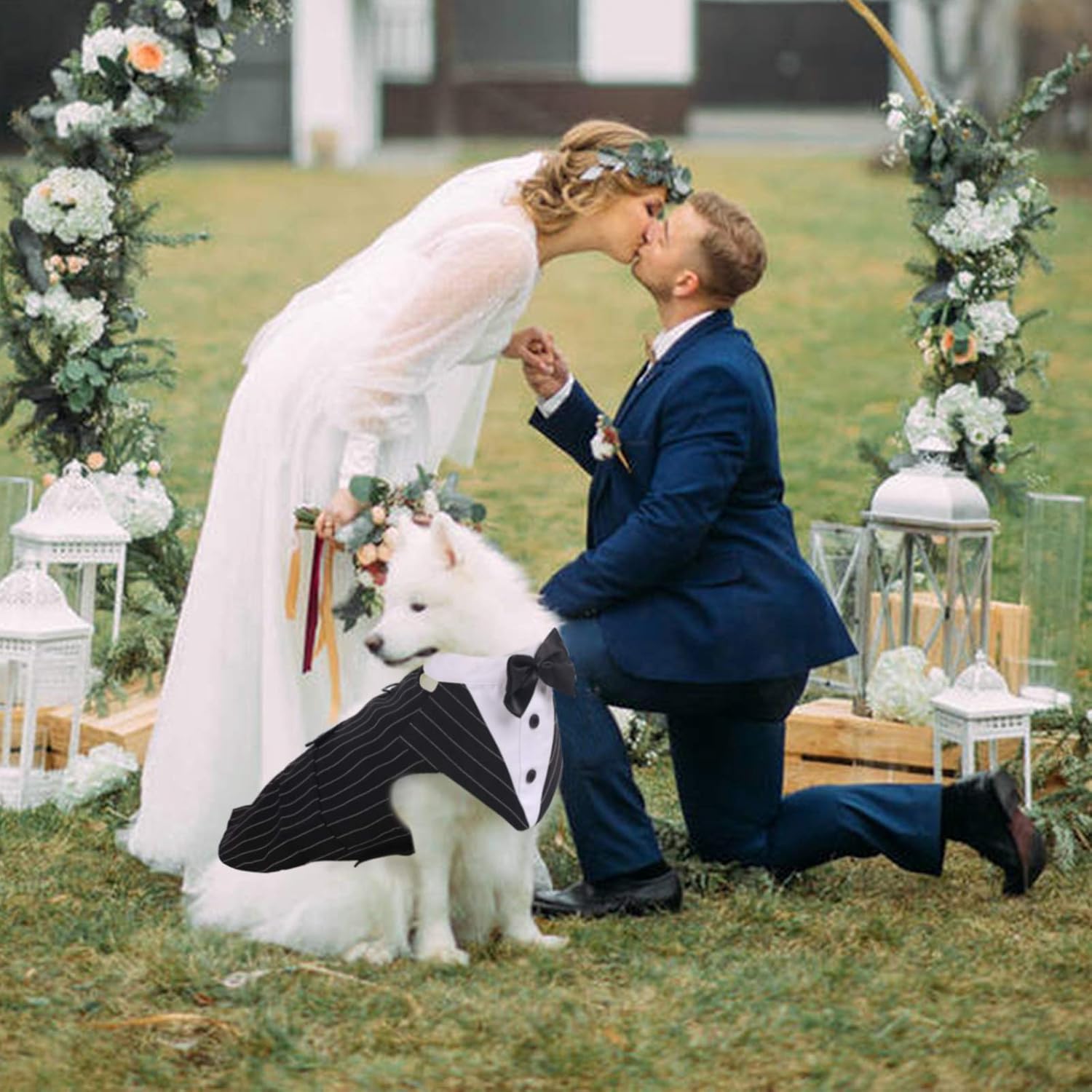 IDOMIK Traje de esmoquin para perros pequeños, medianos y grandes, traje formal de esmoquin para perro con collar de corbatín desmontable y bufanda