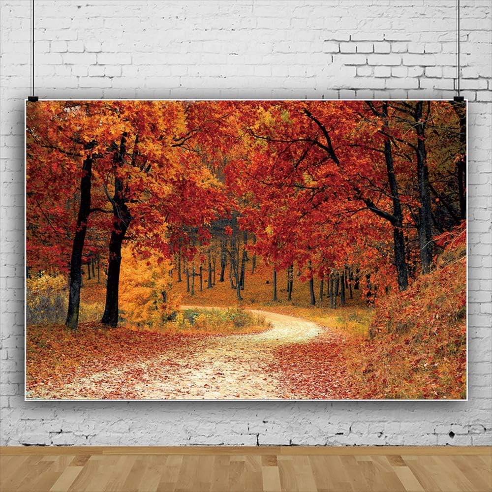 Leyiyi Telón de fondo de bosque de otoño de 5 x 3 pies, árboles de arce rojo, camino de montaña, paisaje caducifolio, Acción de Gracias, fotografía,