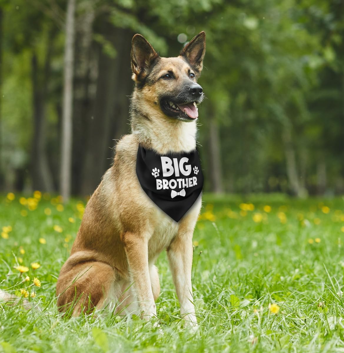 Bandana para perro, pañuelo para perro de hermano mayor, bufanda para perro, impresión negra, accesorios para bufanda para perro, bufanda para