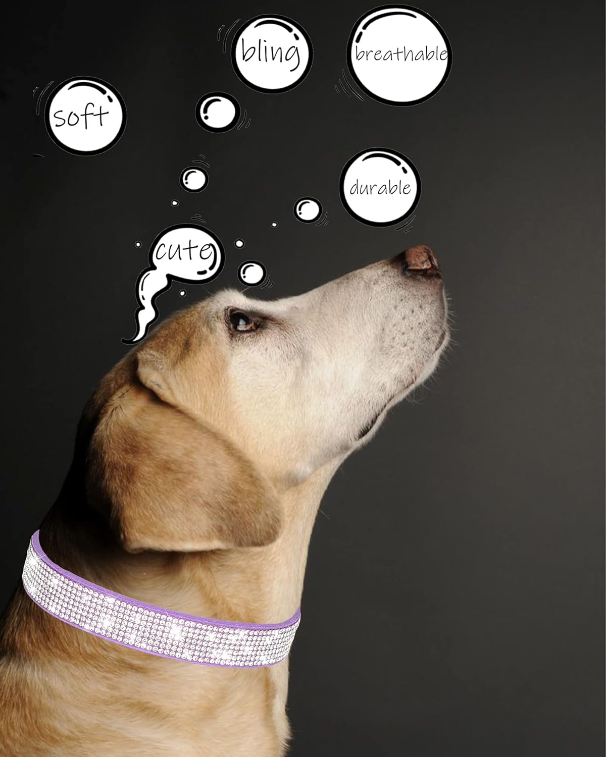 Petank Collar de perro para perros pequeños, medianos y grandes, collar de perro pequeño para hembras, collar de perro rosa, collares de cachorros