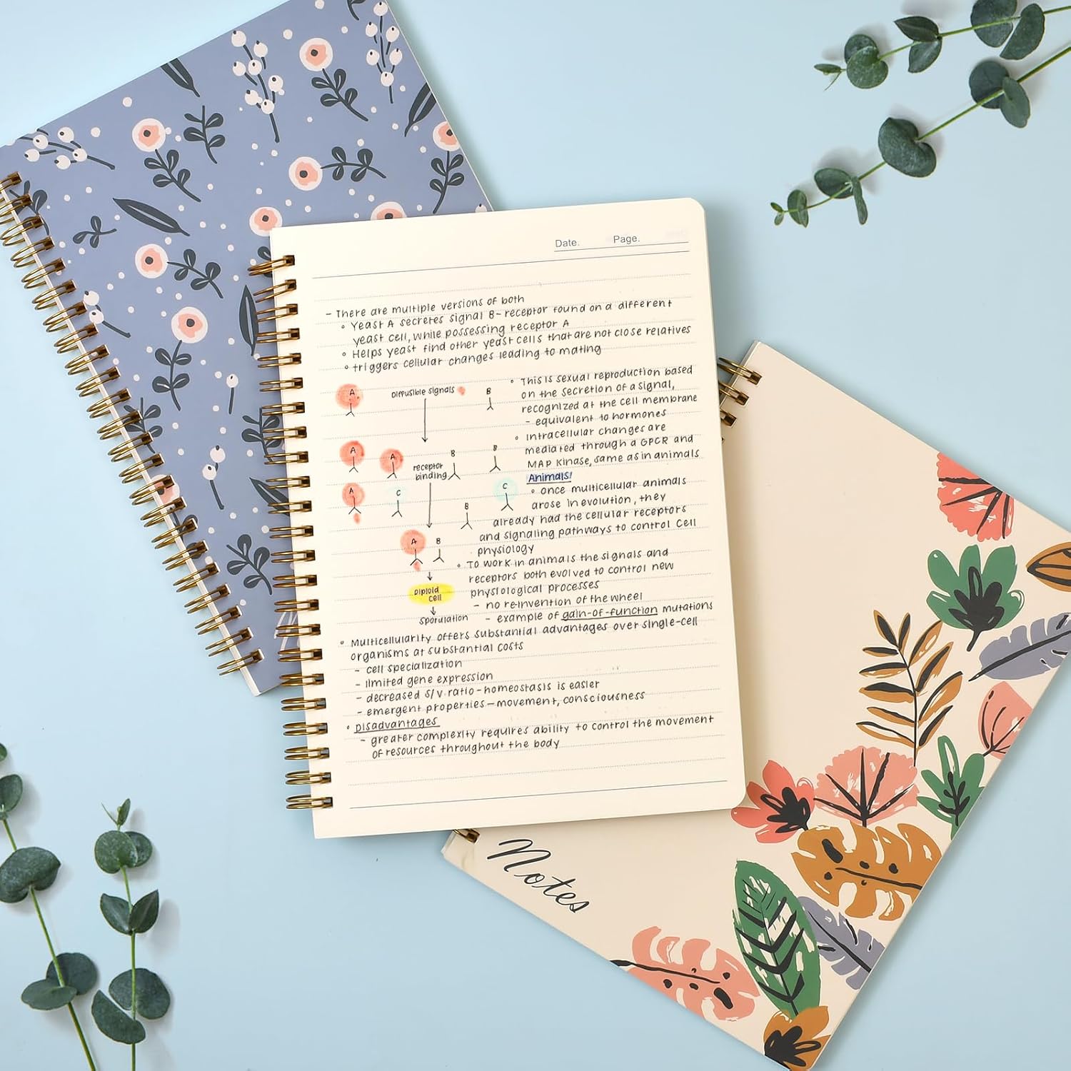 Cuaderno de espiral, paquete de 3 cuadernos rayados A5, cuadernos en espiral de 8.3 x 5.8 pulgadas, cuadernos pequeños y lindos para mujeres,