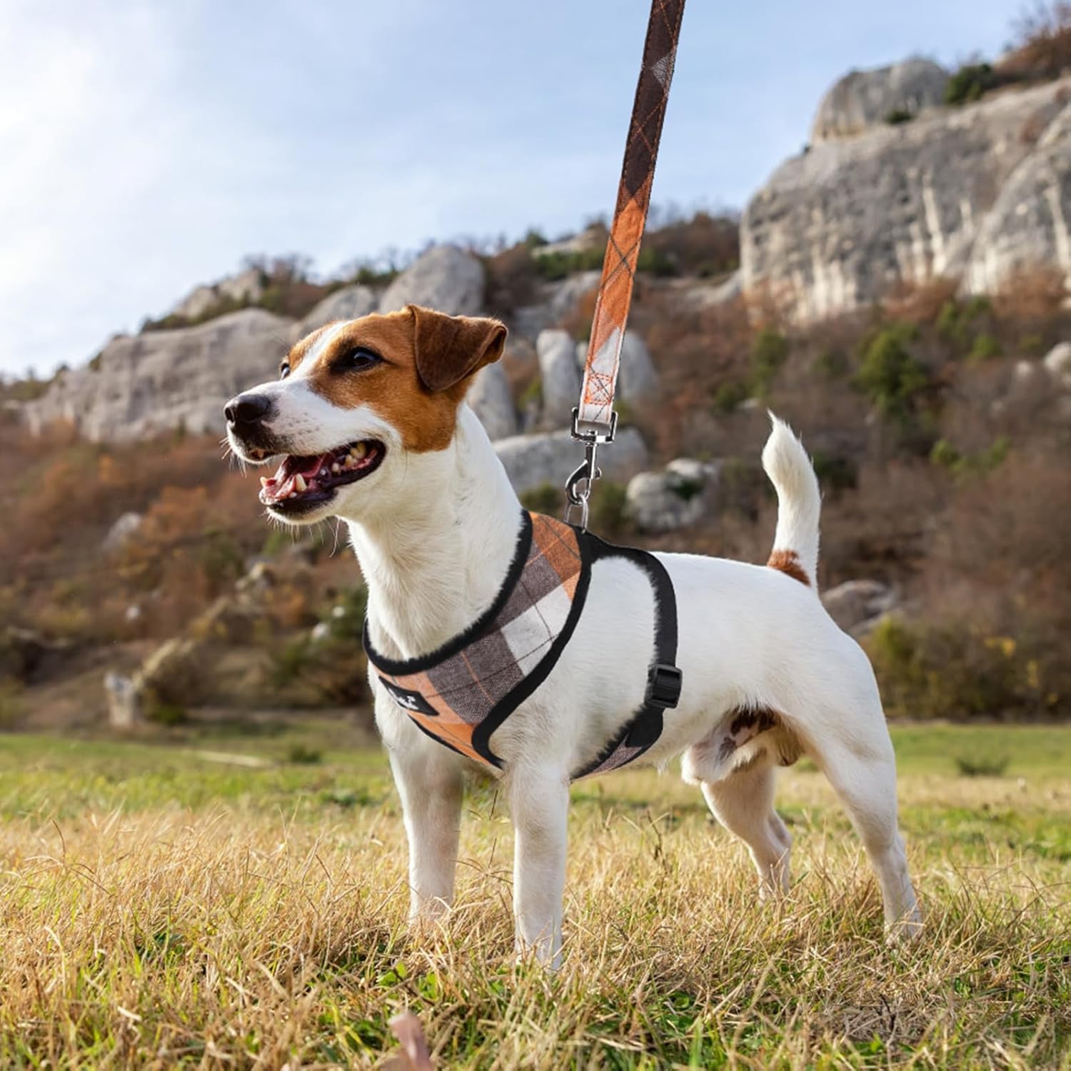 PUPTECK Juego de arnés y correa de malla suave para perro, cachorro y gato, cómodo chaleco acolchado sin tirones, naranja, S