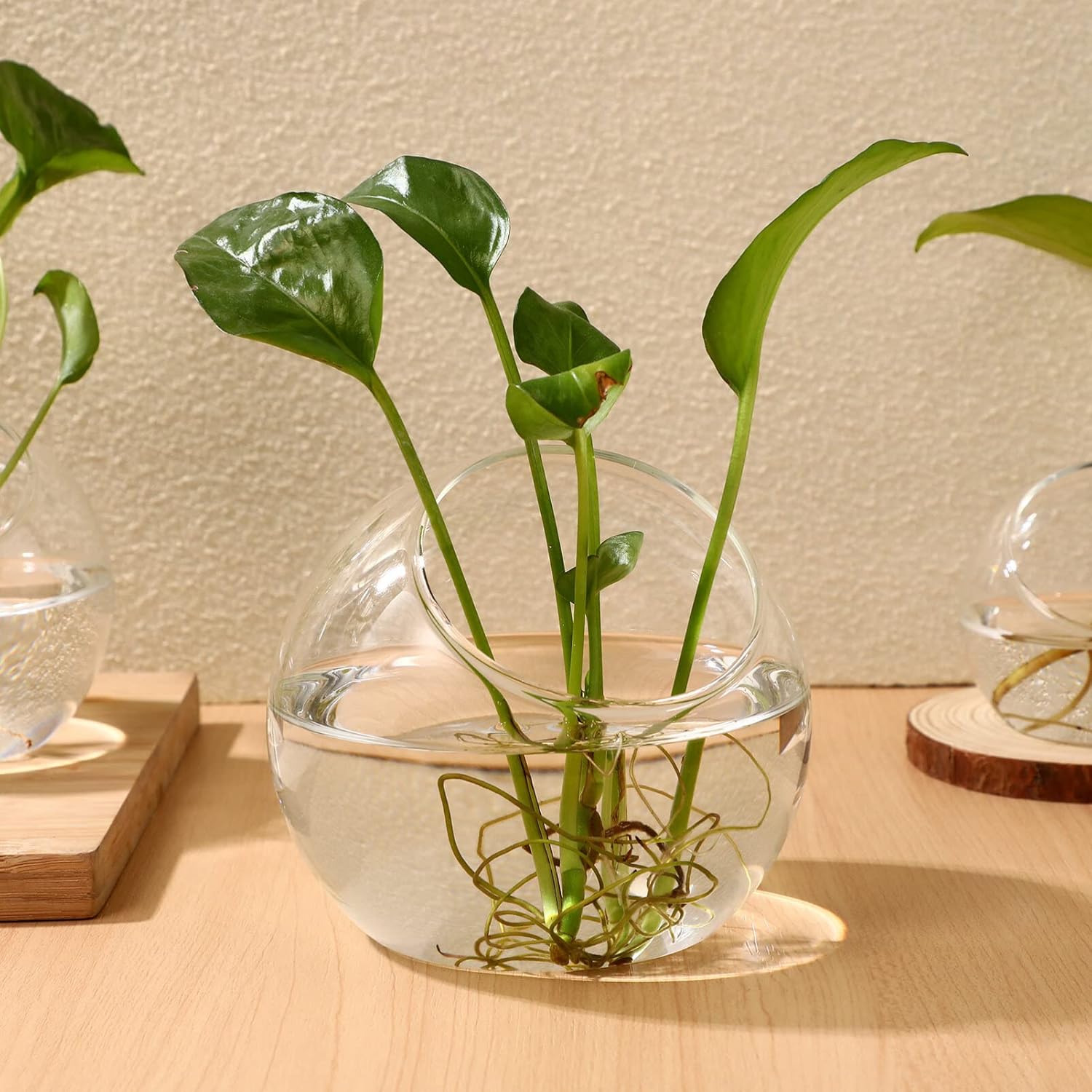 IMIKEYA Exhibición del terrario de la planta 3 unids de vidrio de terrario contenedores suculenta planta de aire plantador jarrones de vidrio