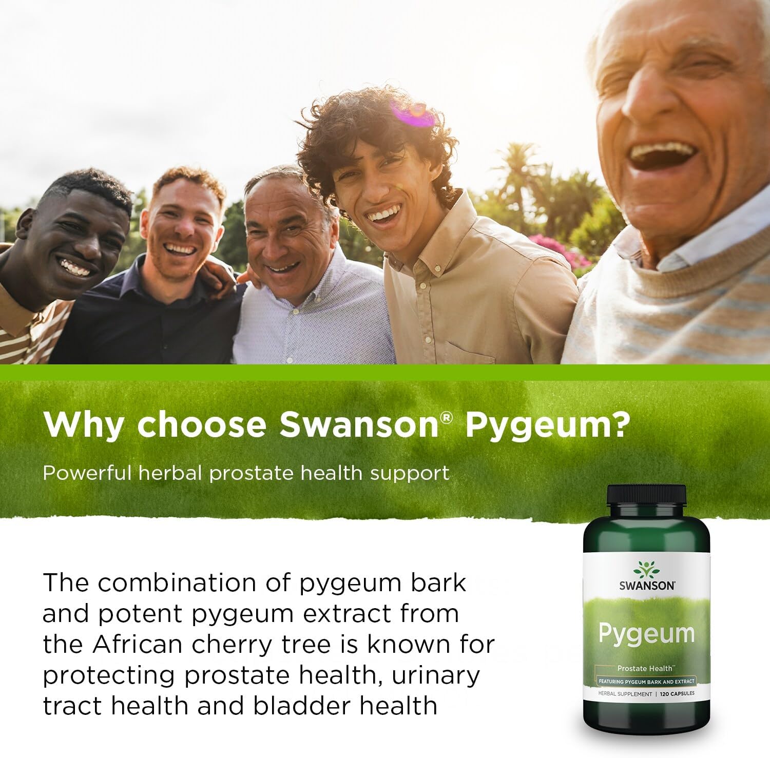 Swanson Pygeum – 120 cápsulas, 400 mg cada una, suplemento de hierbas para la salud de la próstata masculina, la vejiga y el tracto urinario