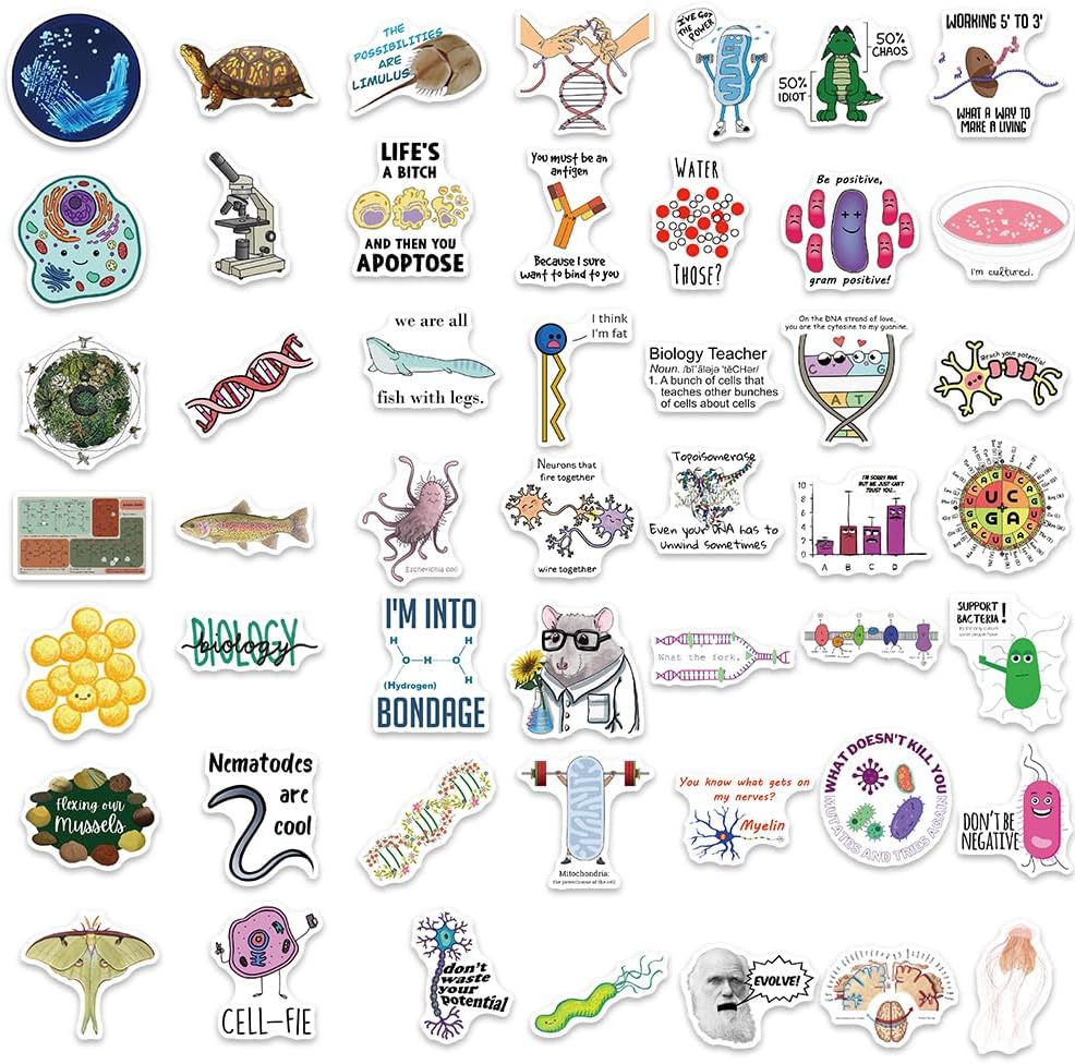 100 calcomanías impermeables divertidas de biología para botella de agua, laptop y cuaderno, lindas calcomanías de biología para profesores y