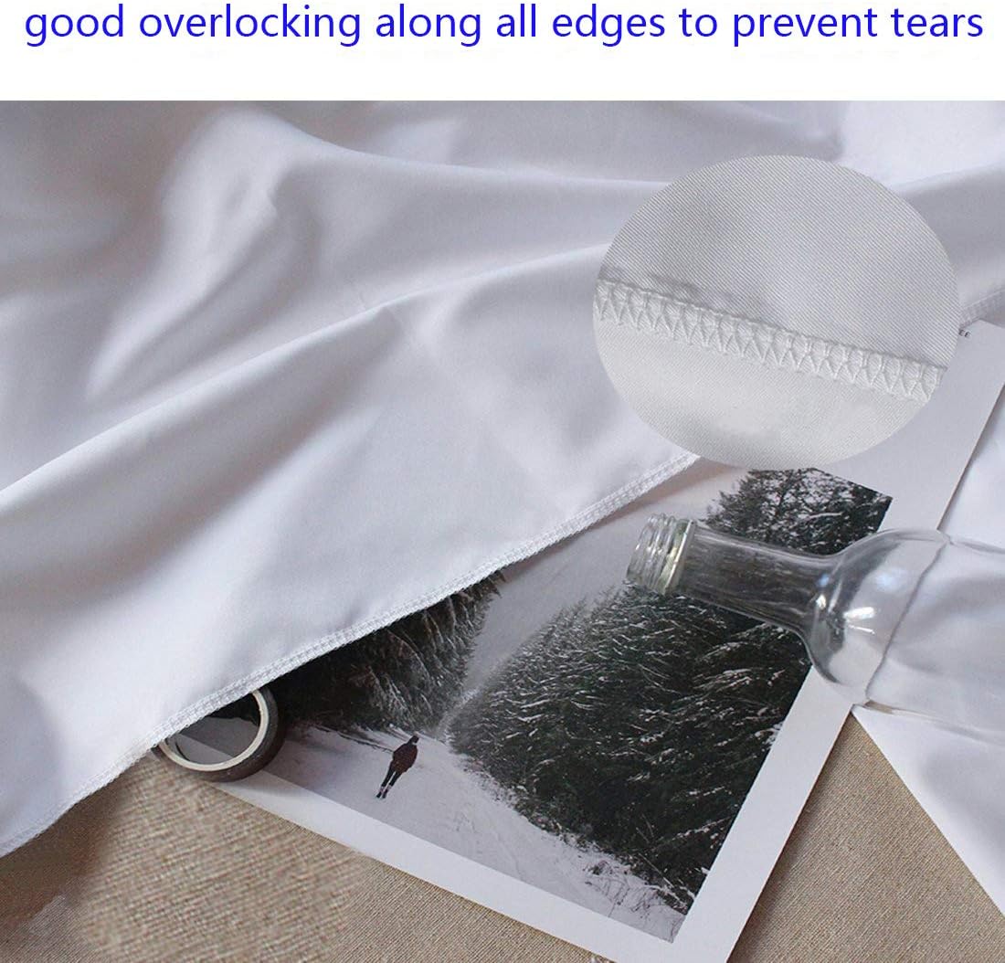 4.9×9.8ft White Seamless Fabric Backdrop,Thicken, Screen Backdrop,Polyester Material Background Cloth for Photography,Video and Televison,Good