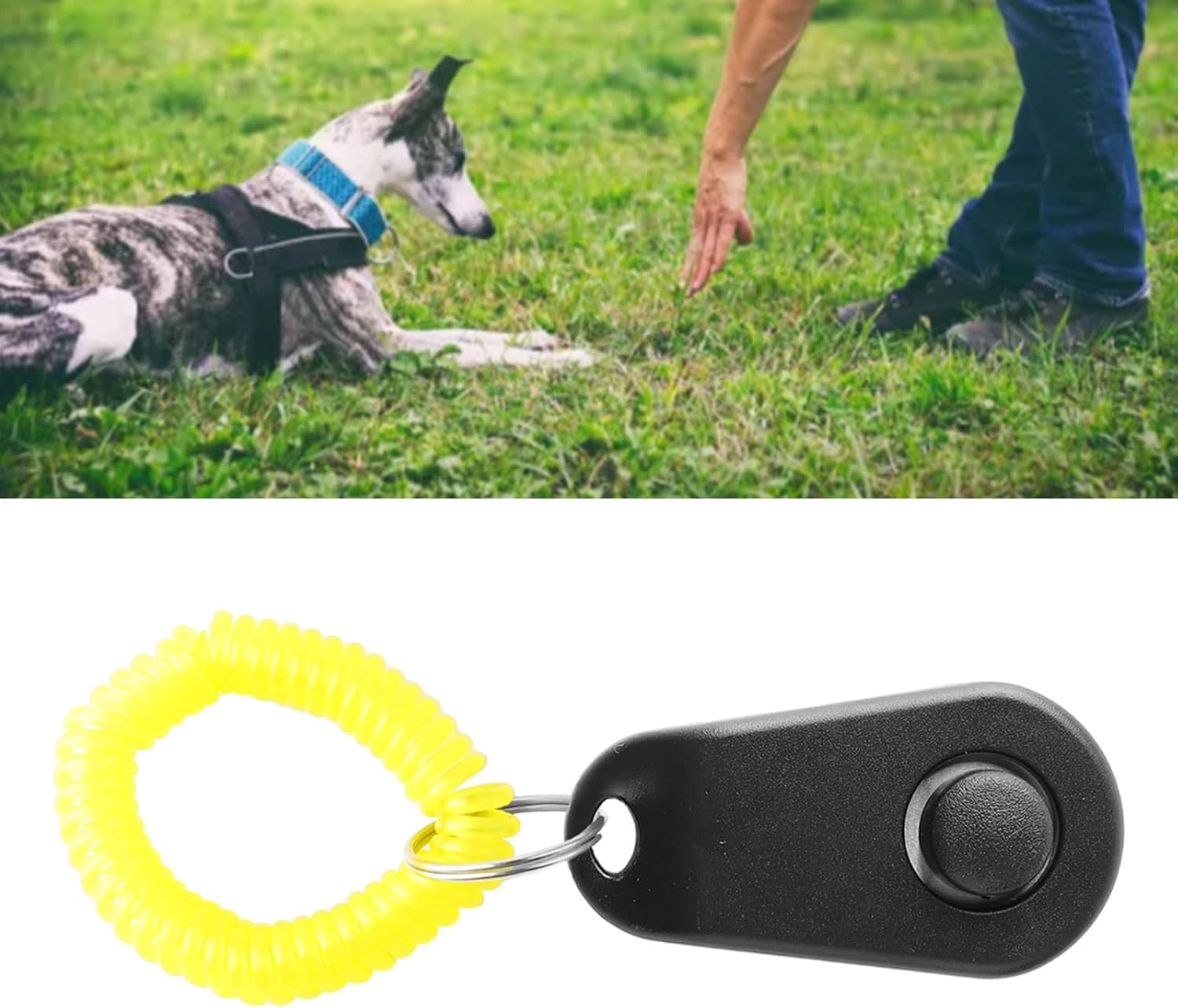 Clicker de entrenamiento para perros, duradero y ligero para entrenamiento de mascotas con anillo para el dedo y correa de muñeca, clicker para