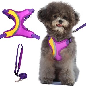 _ Juego de arnés y correa para perro, arnés ajustable y sin tirones para cachorro, chaleco suave y reflectante para entrenamiento de perros pequeños _ Juego de arnés y correa para perro, arnés ajustable y sin tirones para cachorro, chaleco suave y reflectante para entrenamiento de perros pequeños