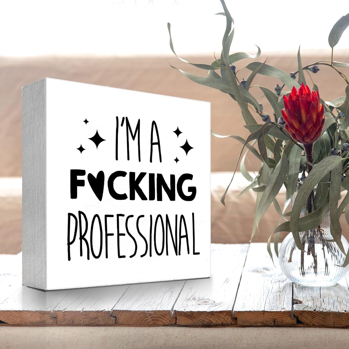 Cartel de madera divertido con texto en inglés “I’m a Professional Wood Block Box” para decoración de escritorio para el hogar, oficina, estantería,